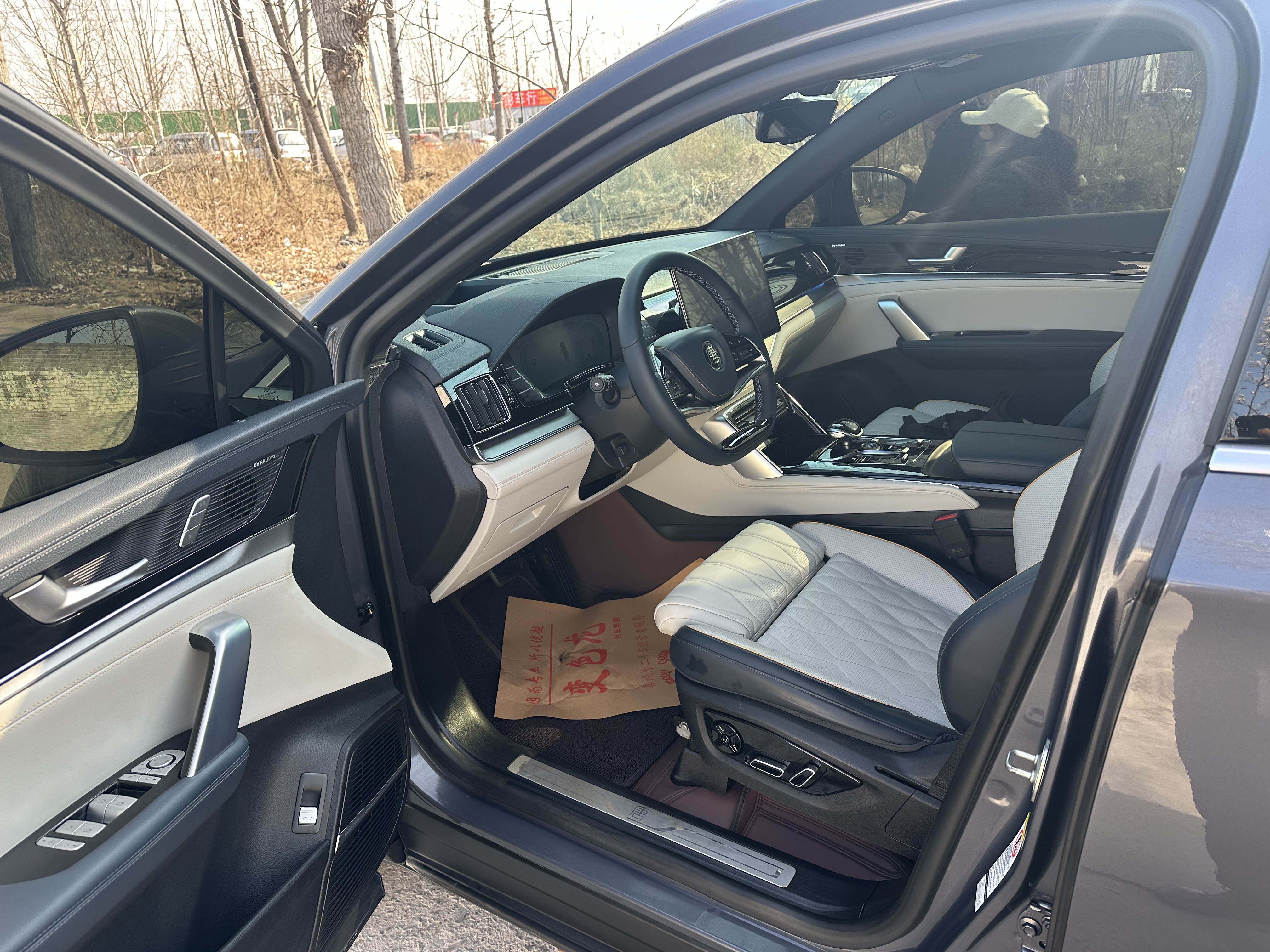 BYD Tang New Energy 2023 car image #9