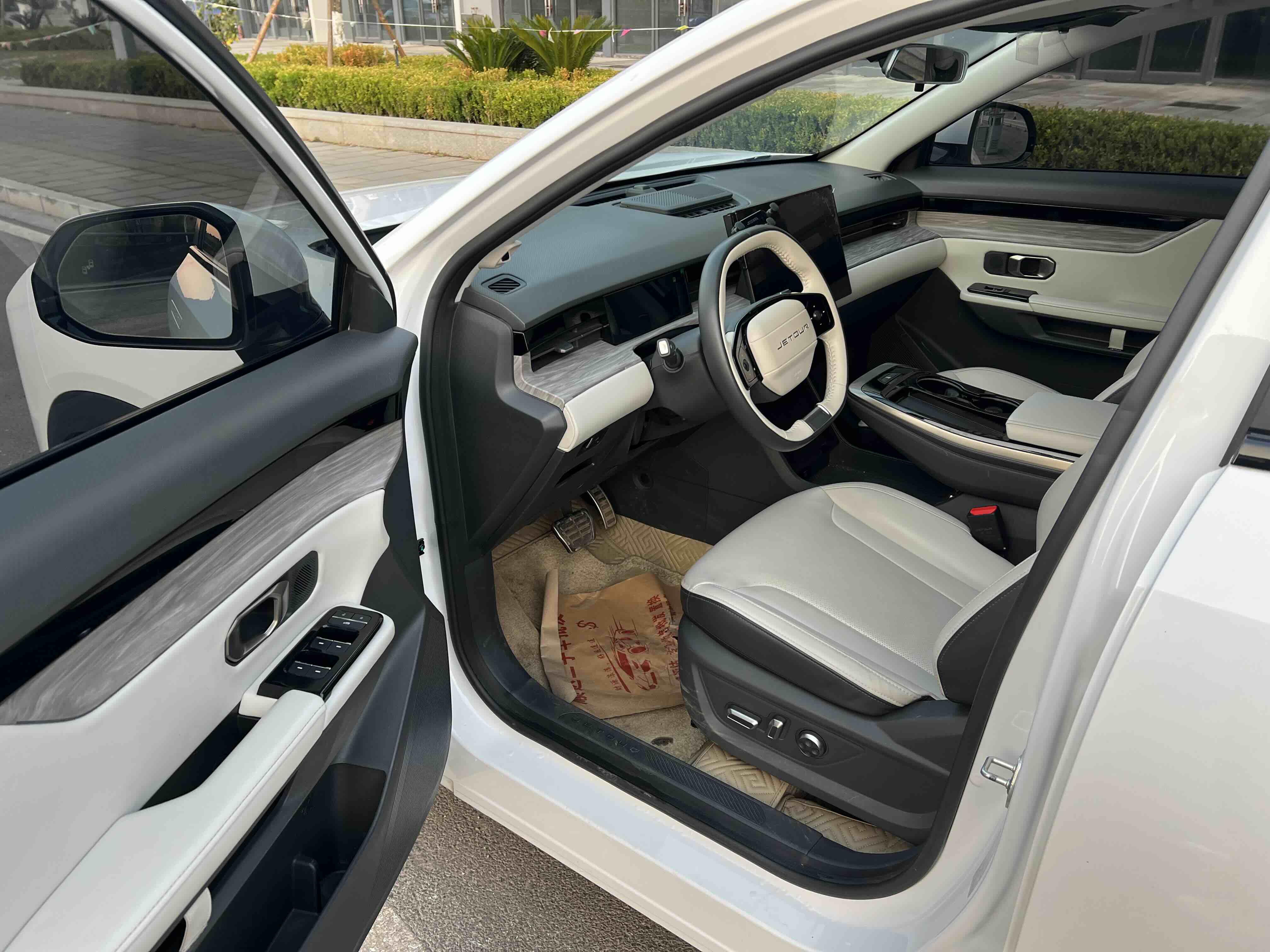 Dashing 2023 car image #9