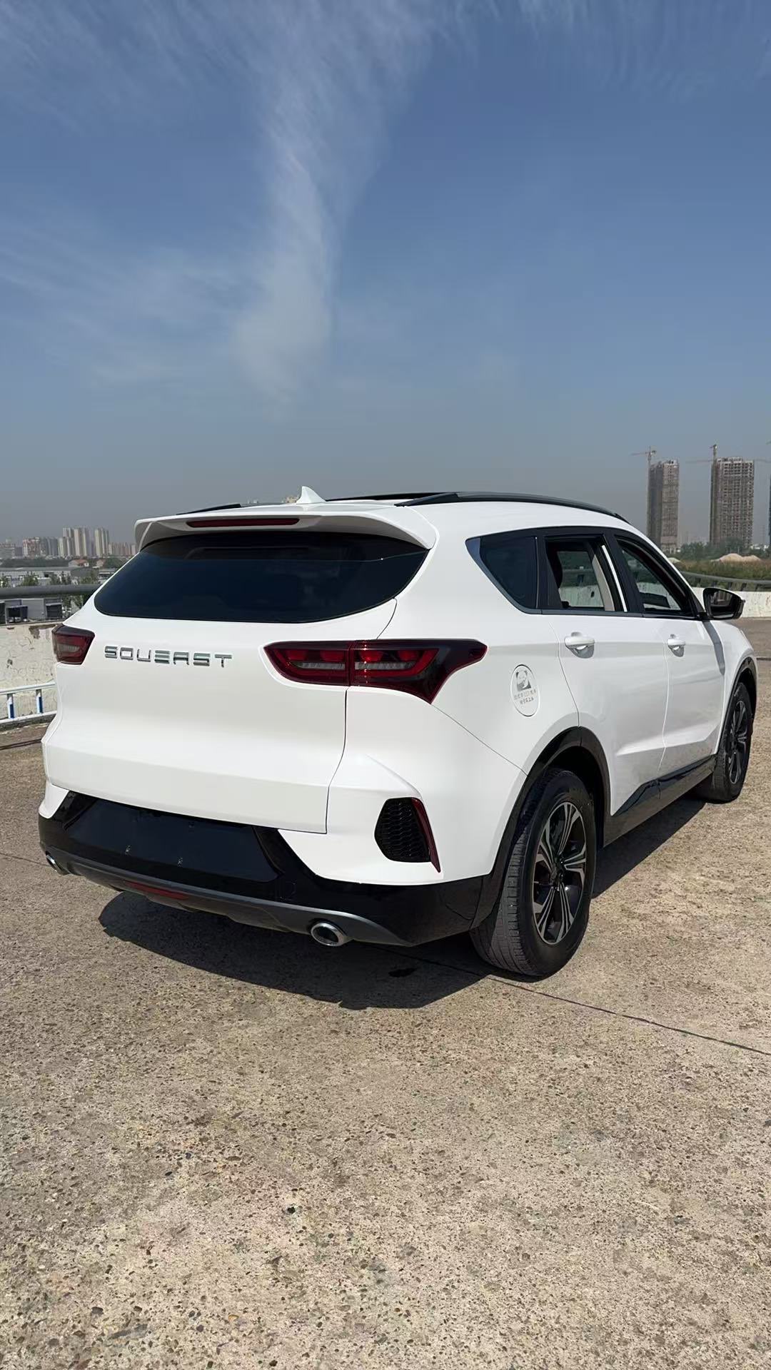 Soueast DX8 S 2023 car image #9