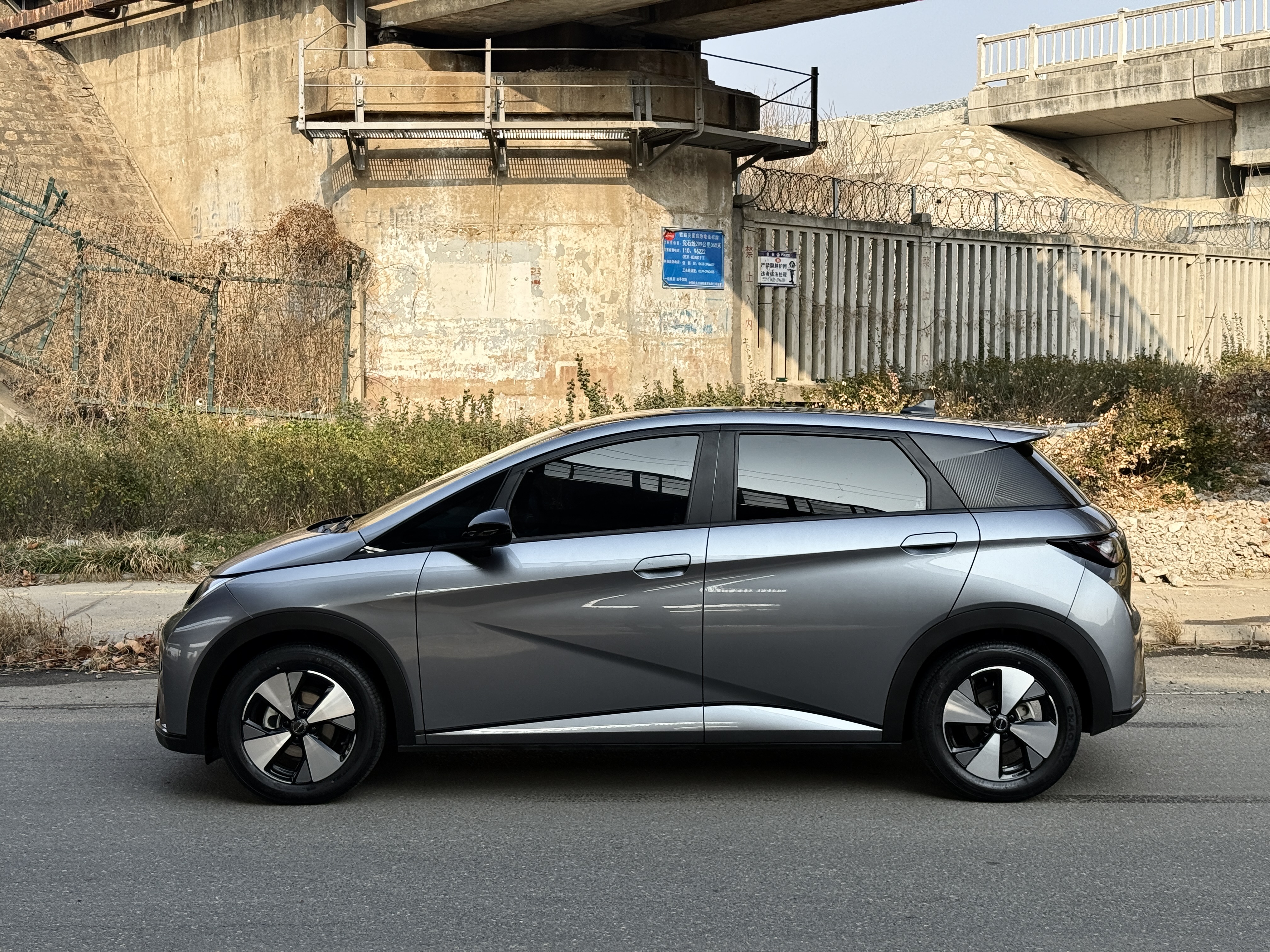 BYD Dolphin 2023 car image #9