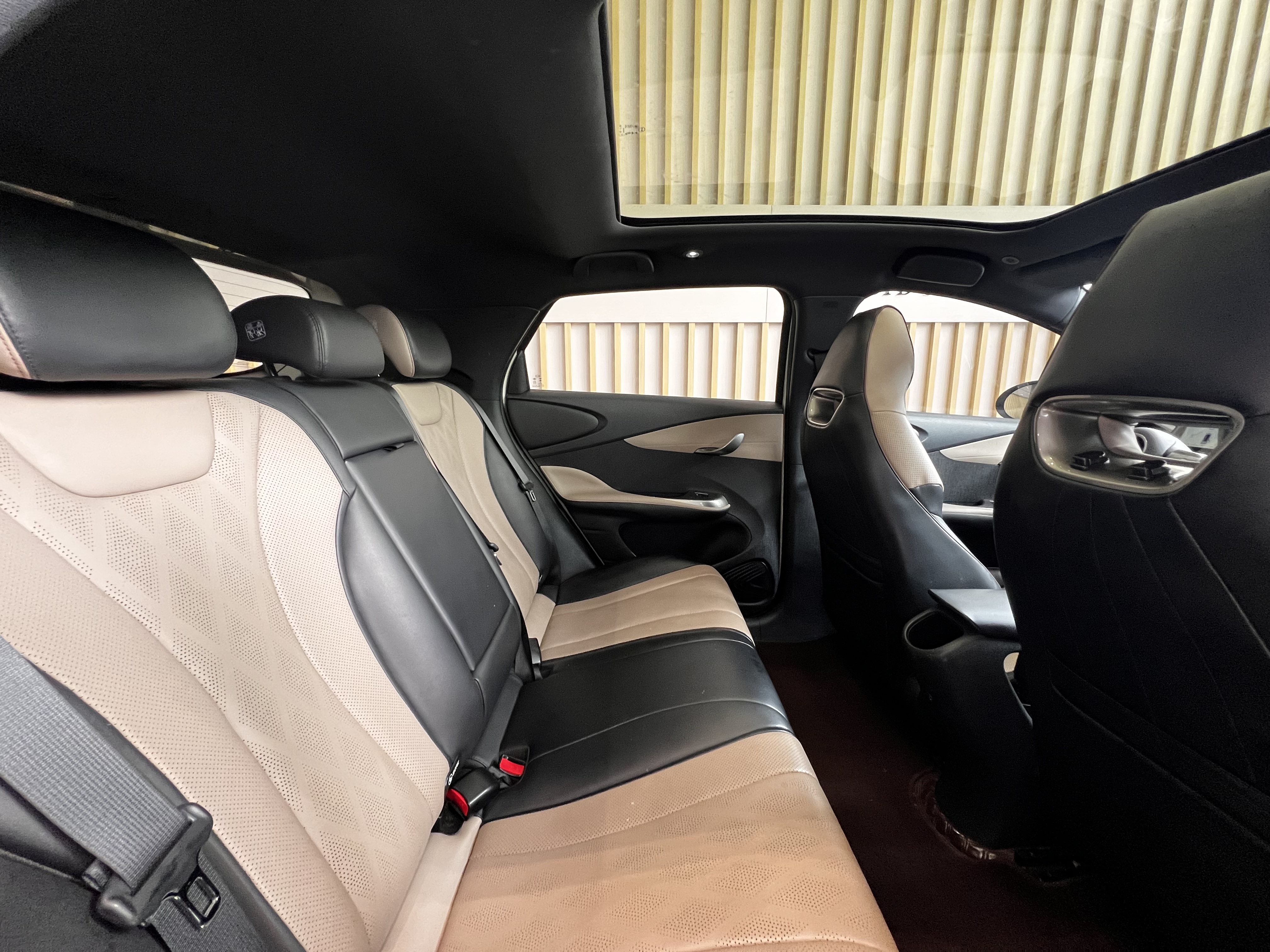 BYD Dolphin 2023 car image #9