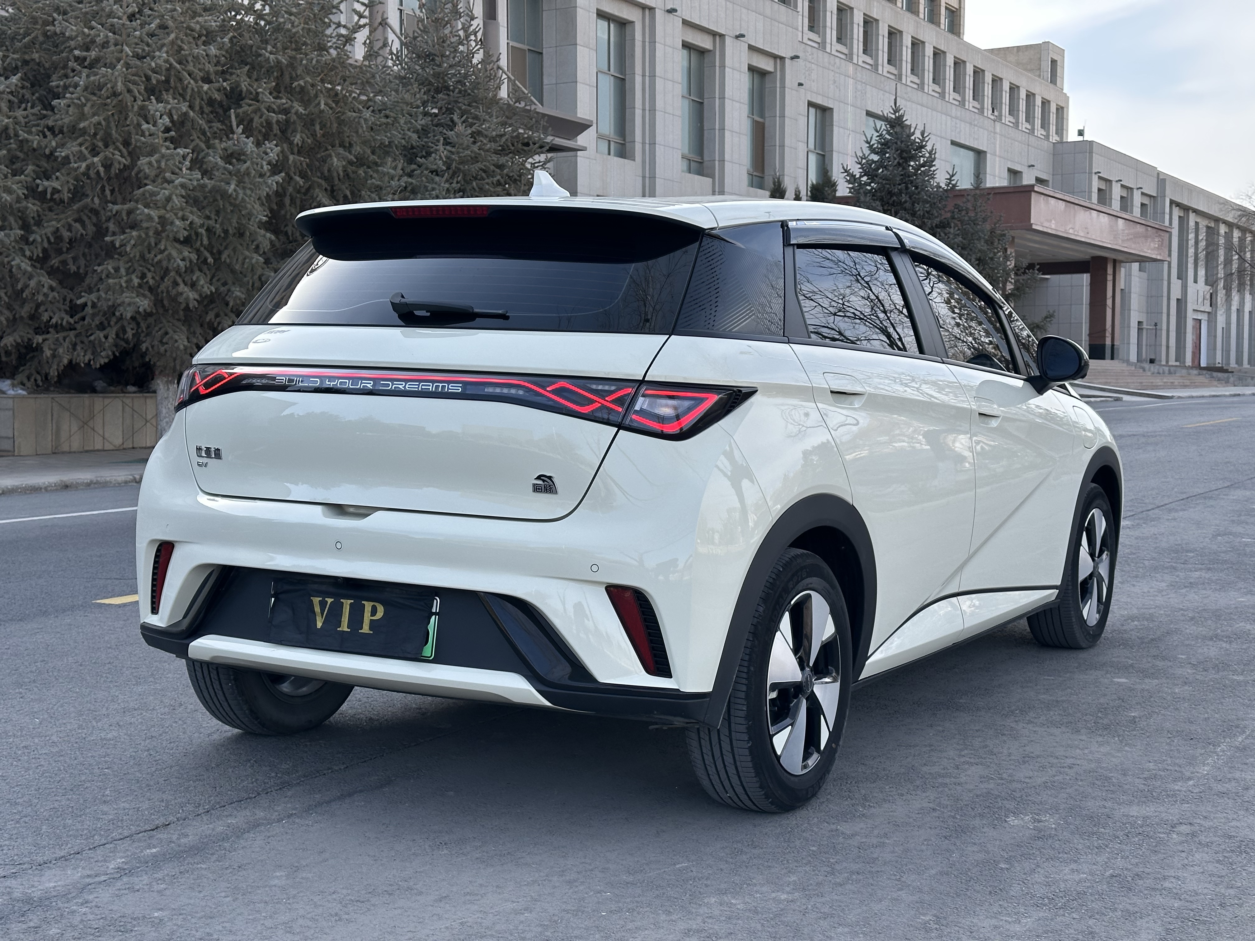 BYD Dolphin 2024 car image #9