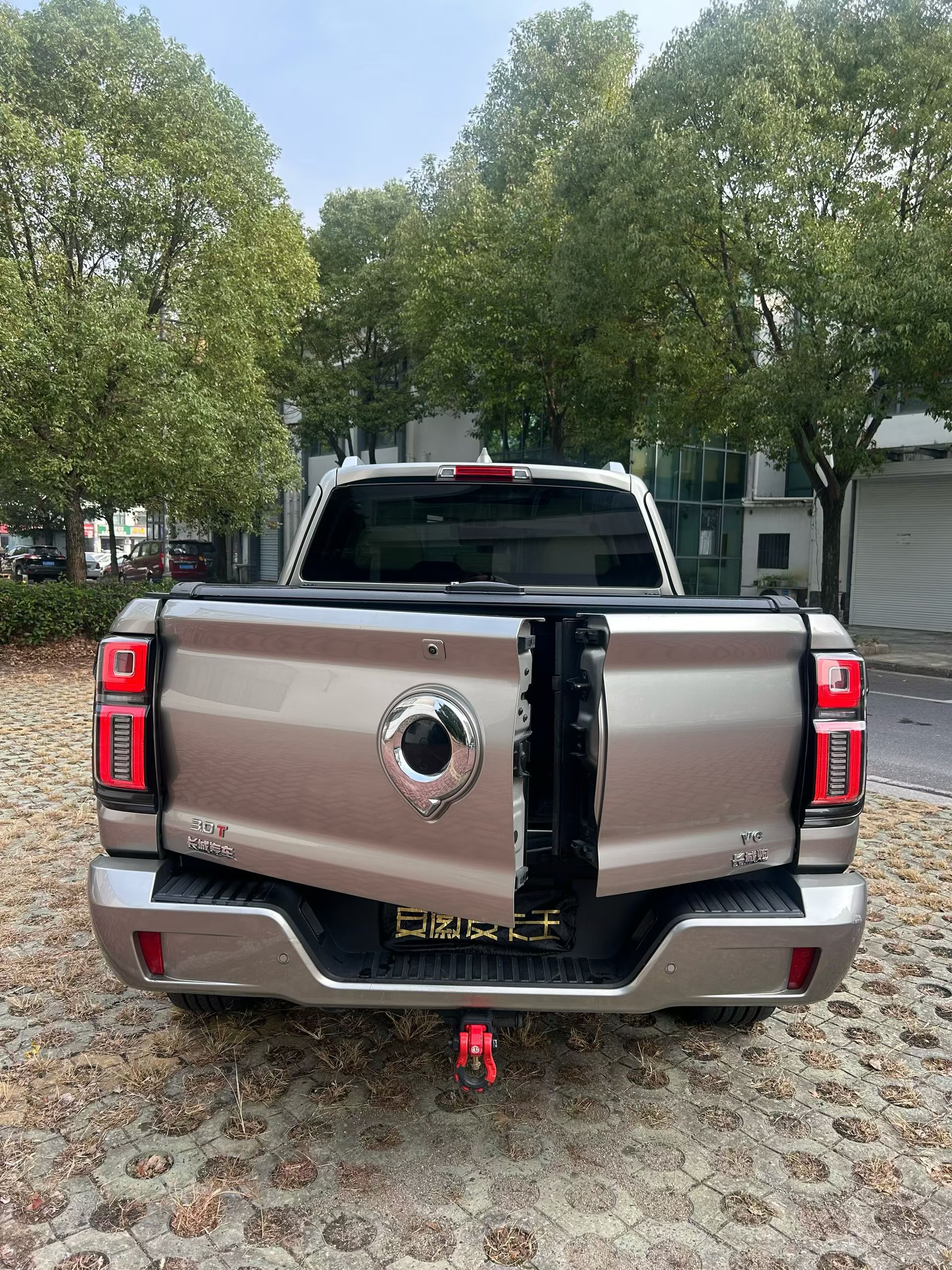 Great Wall Shanhai Pao 2023 #9 Great Wall Shanhai Pao 2023 car image #9