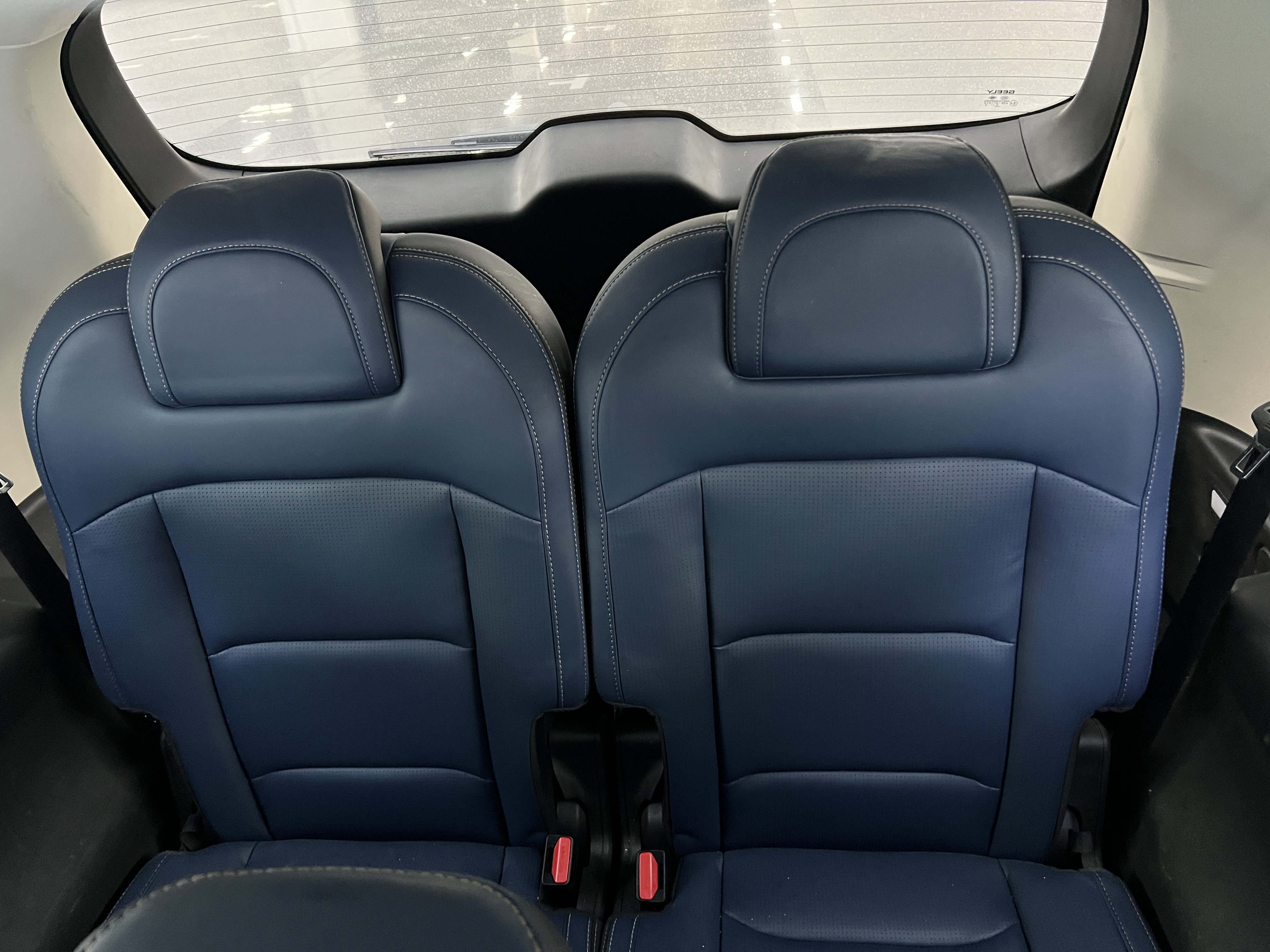 睿蓝汽车 睿蓝9 2023 汽车图片 #9