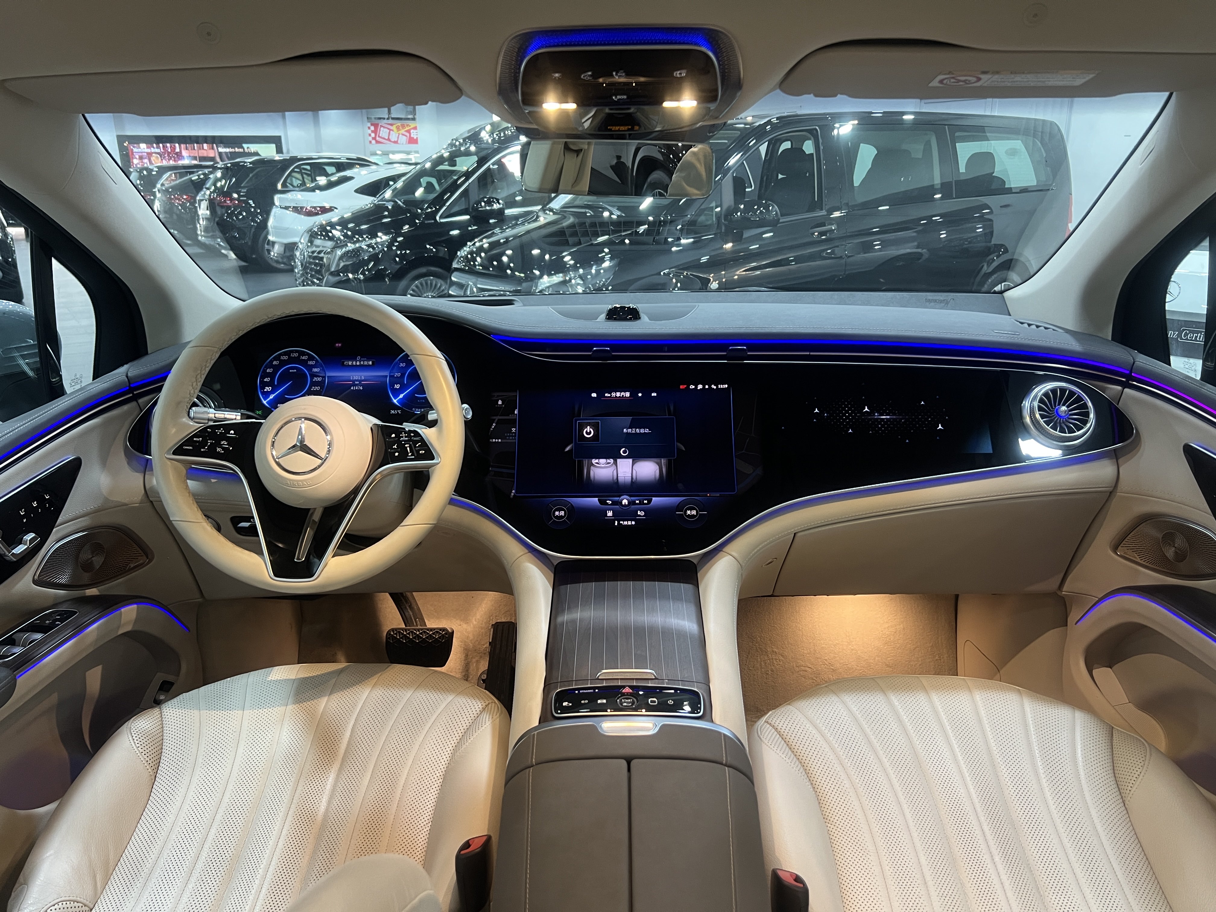 Mercedes-Benz EQS SUV 2023 car image #9