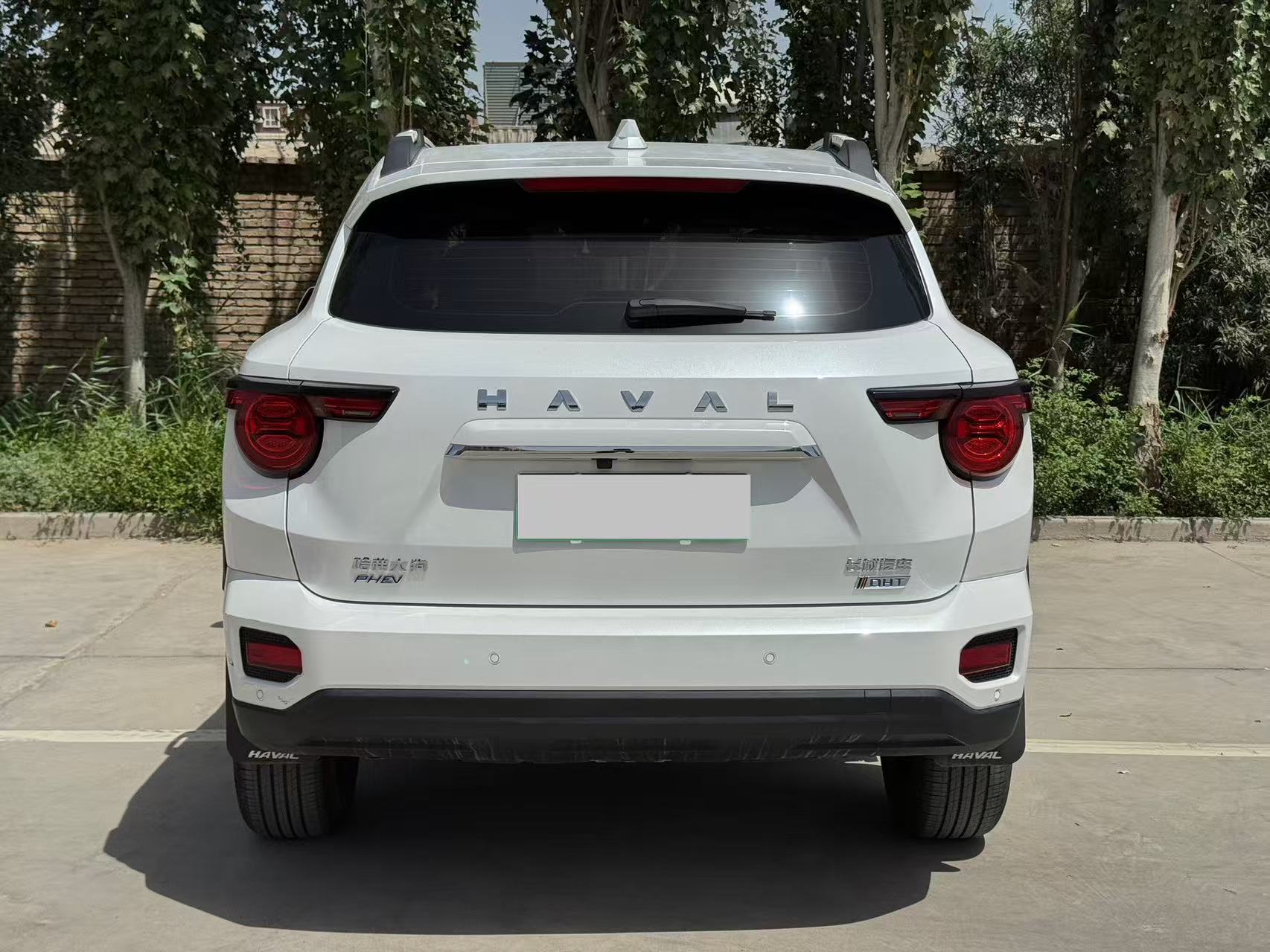 Haval X Dog 2 New Energy 2023 car image #9