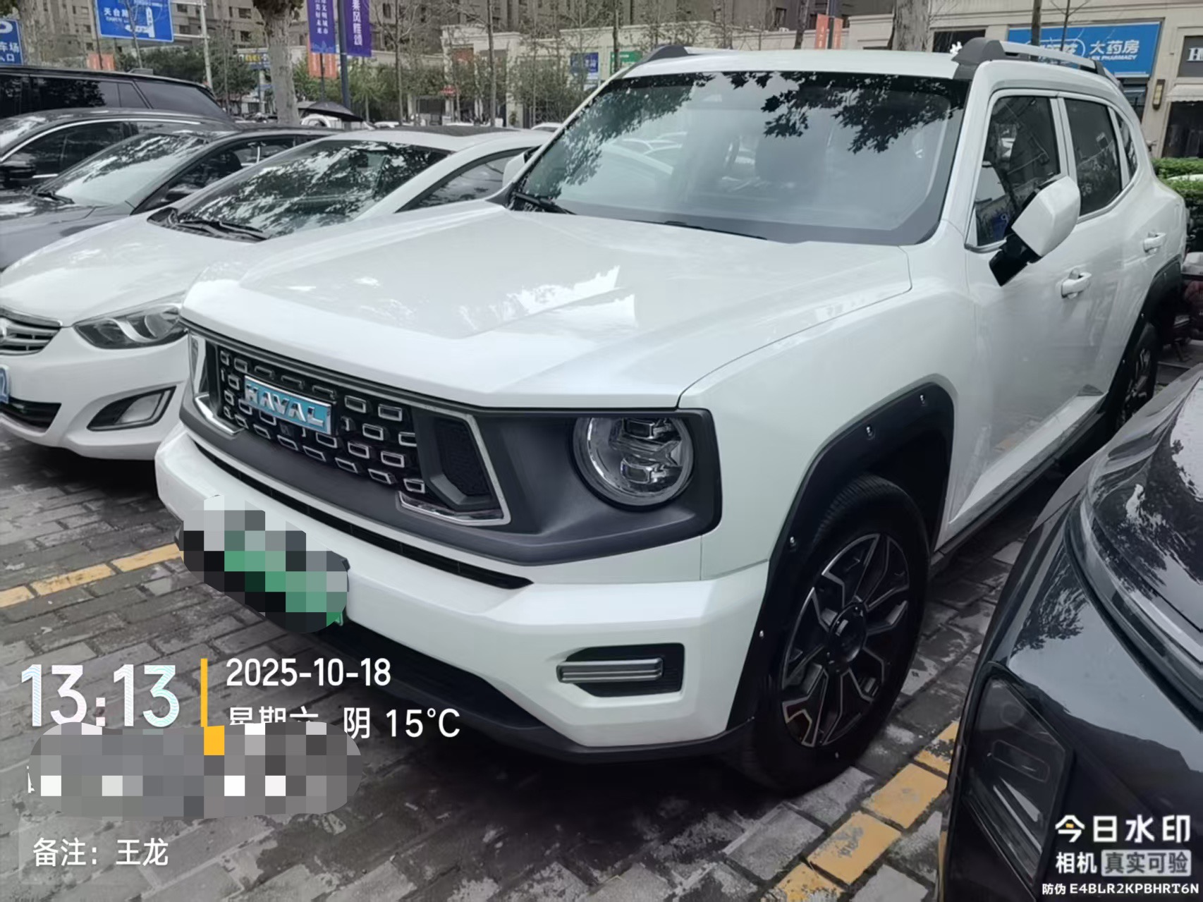 Haval Dargo 2 2025 #9 Haval Dargo 2 2025 صورة سيارة #9