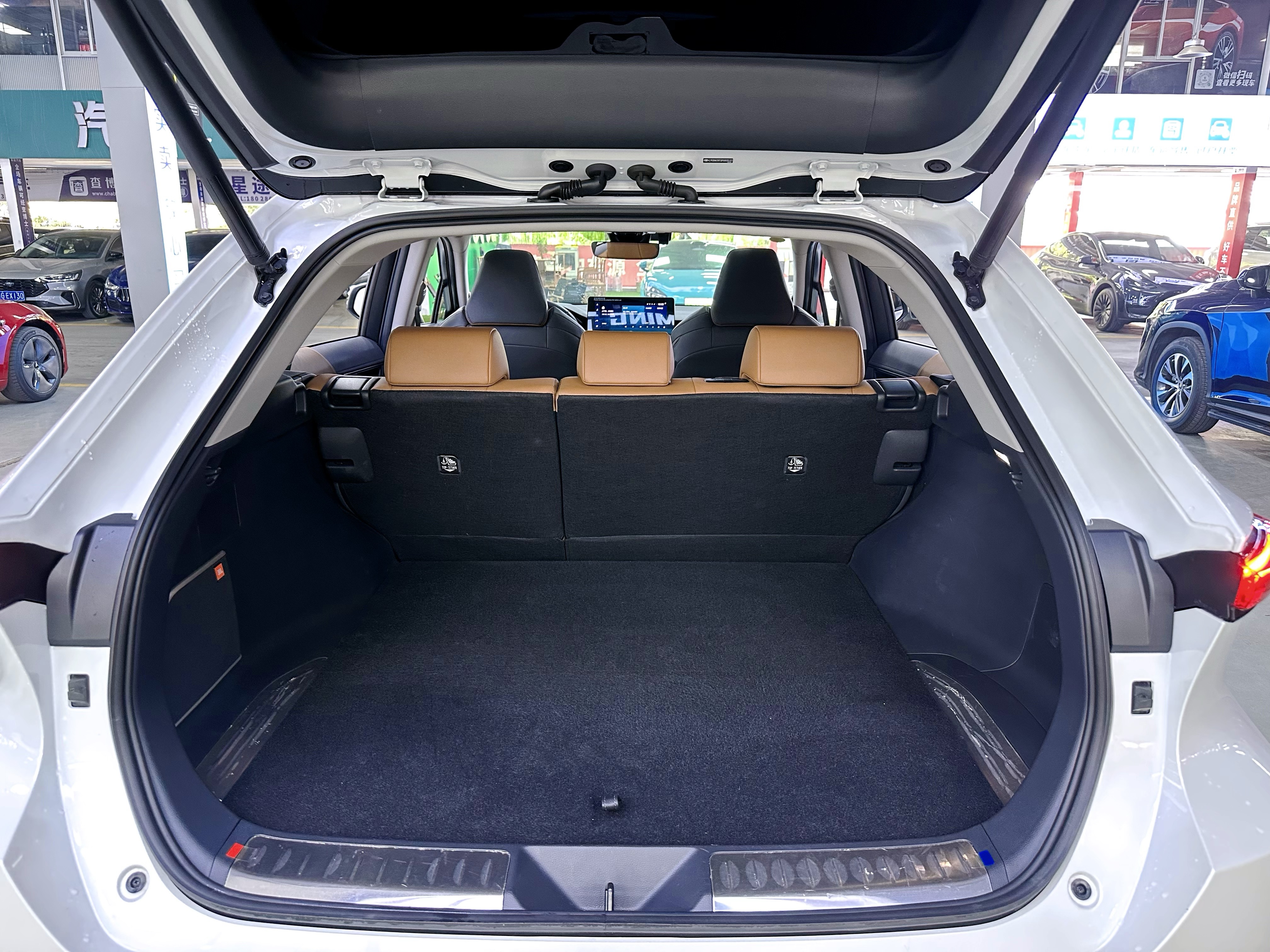 Toyota Venza 2024 car image #9