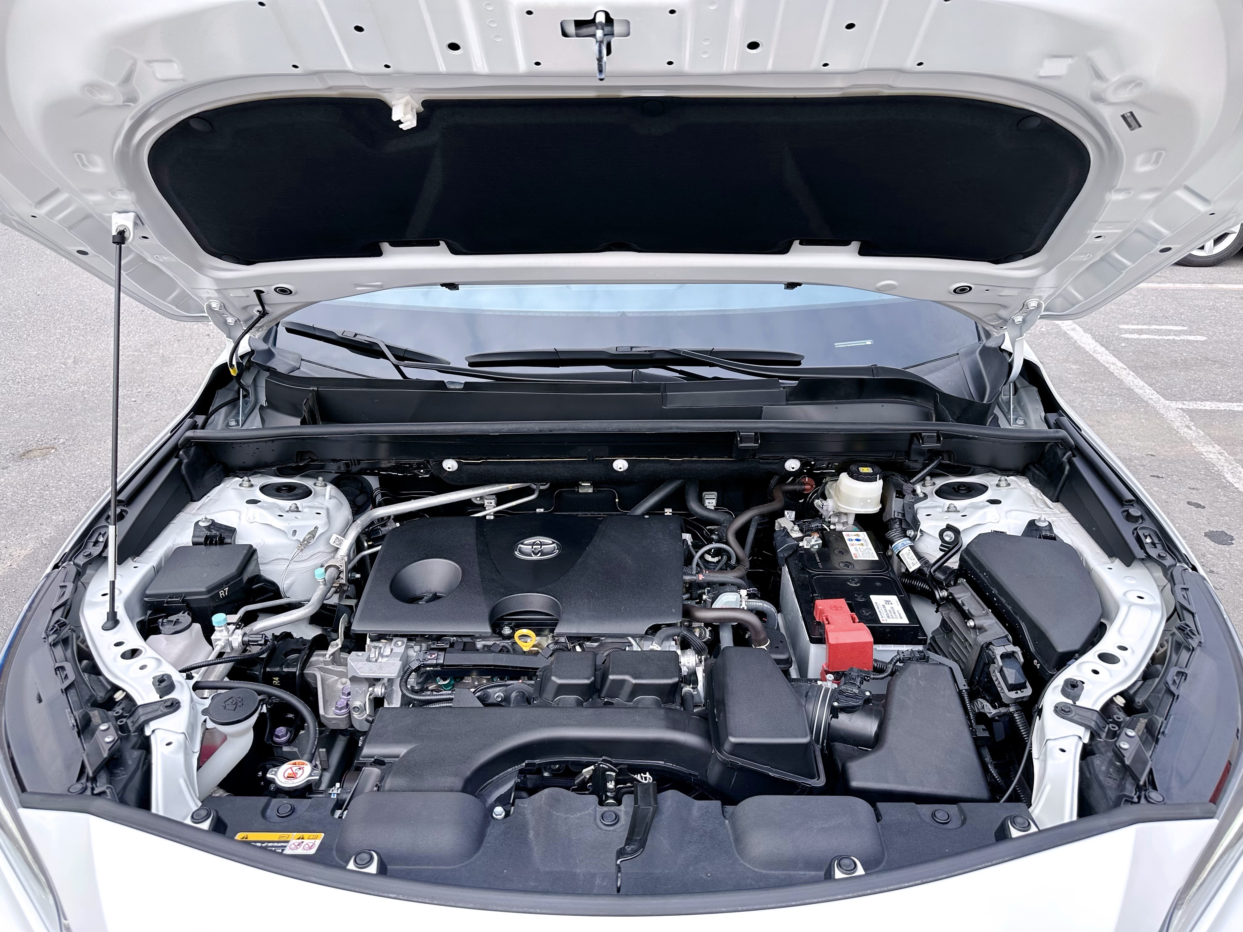 Toyota Venza 2024 immagine di auto #9