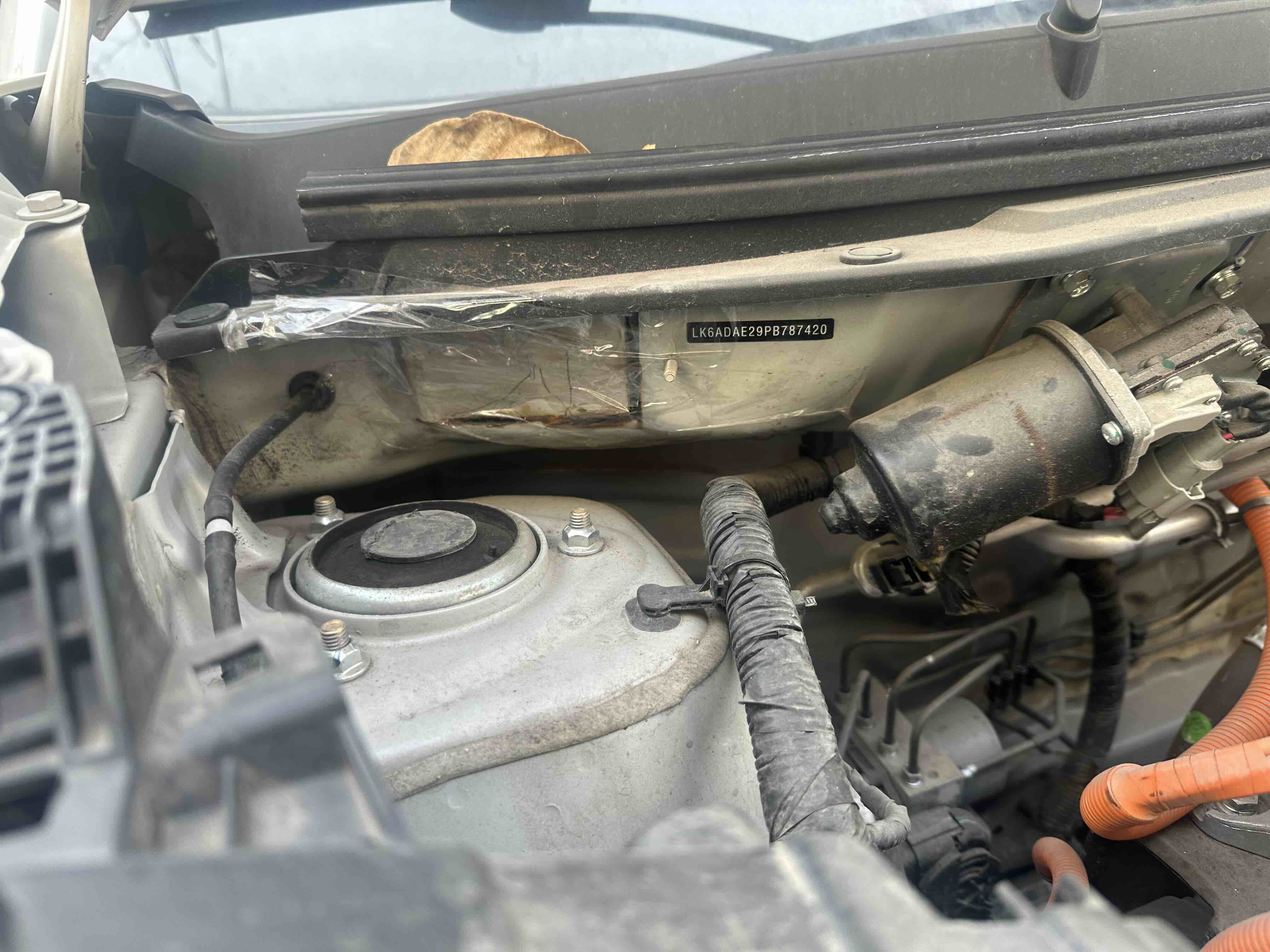 五菱汽车 五菱缤果 2024 汽车图片 #9