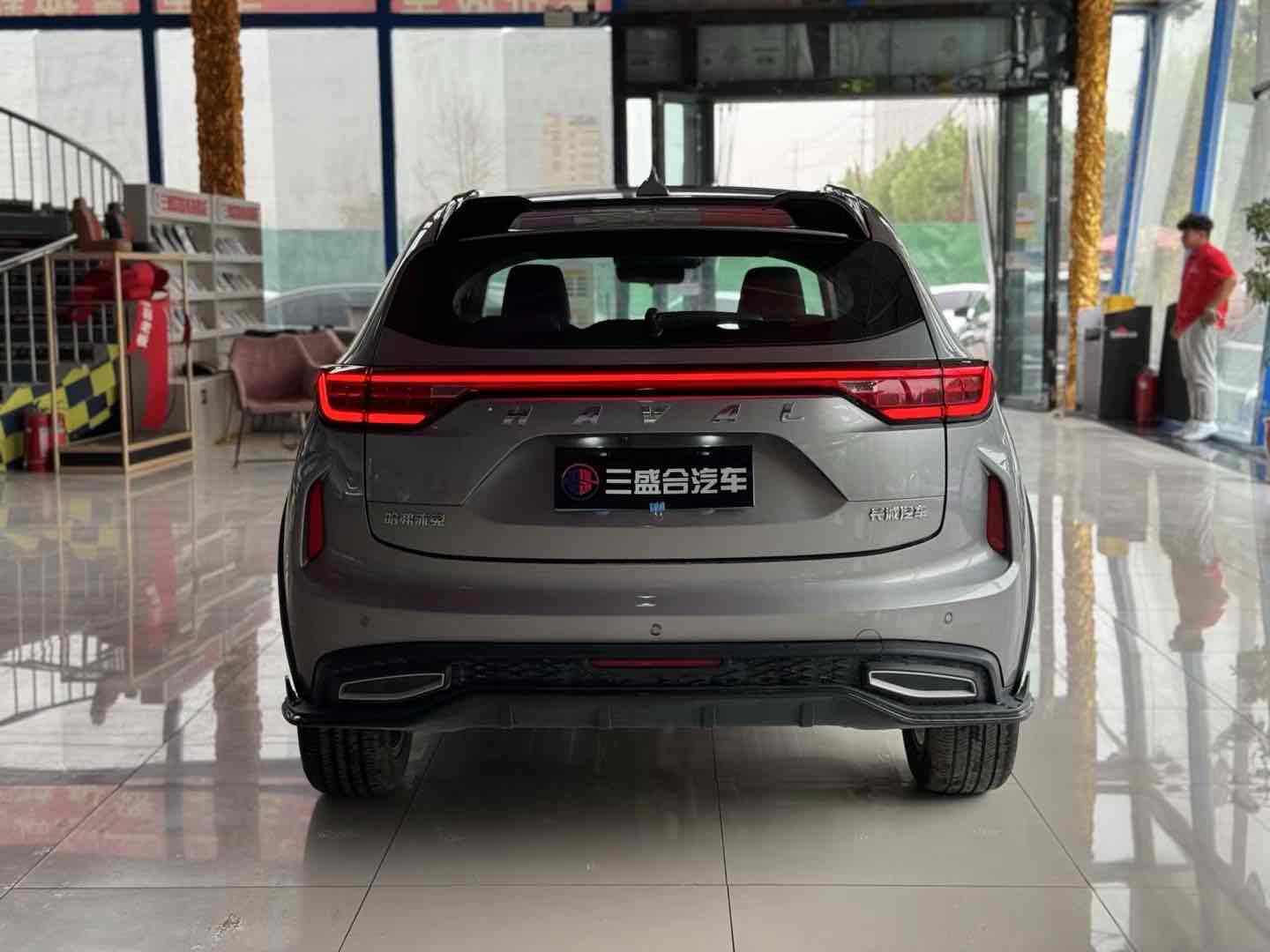 Haval Rabbit 2024 car image #9