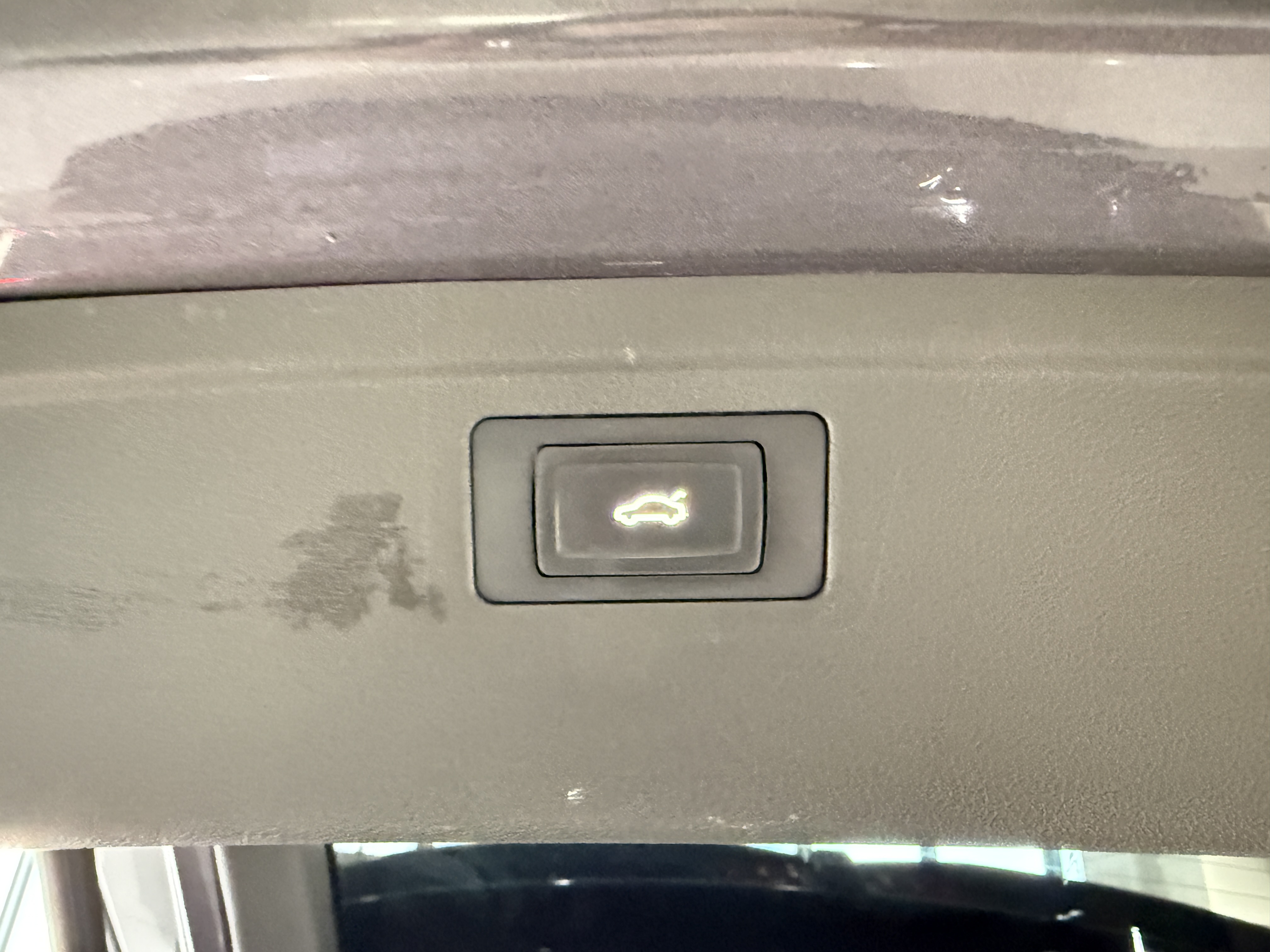 Dashing 2024 immagine di auto #9