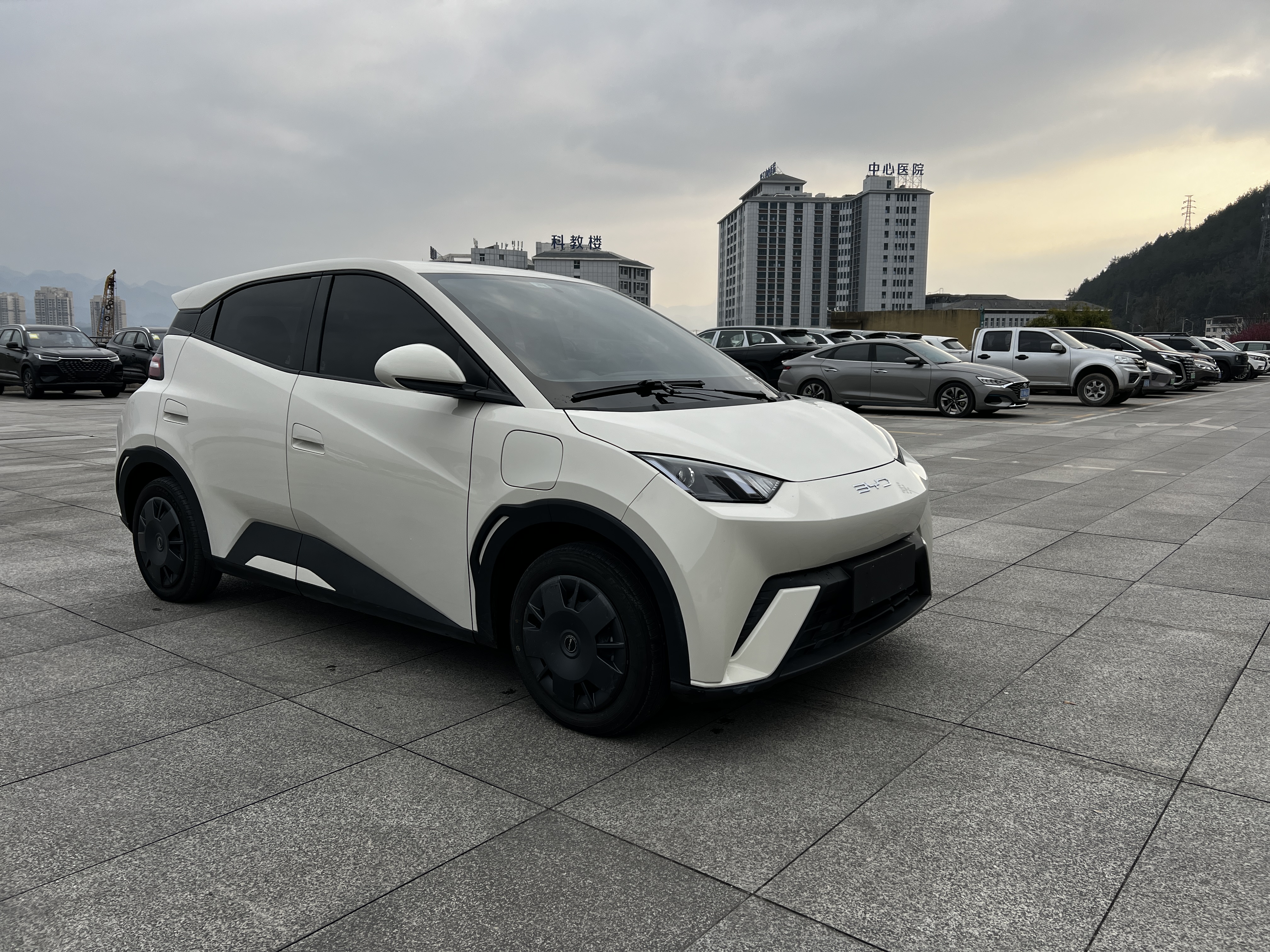 BYD Seagull 2024 #9 BYD Seagull 2024 car image #9