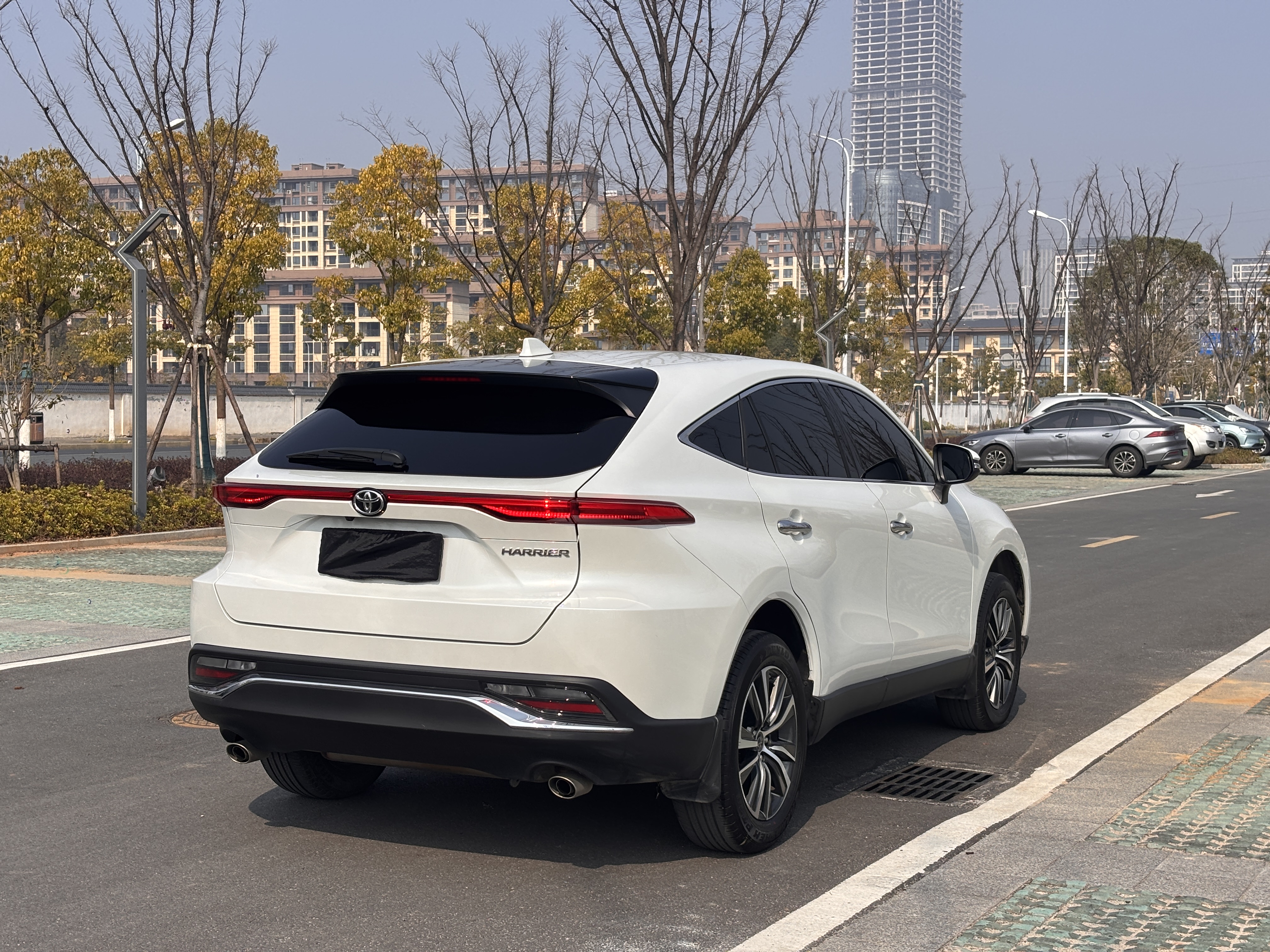 Toyota Harrier 2023 car image #9