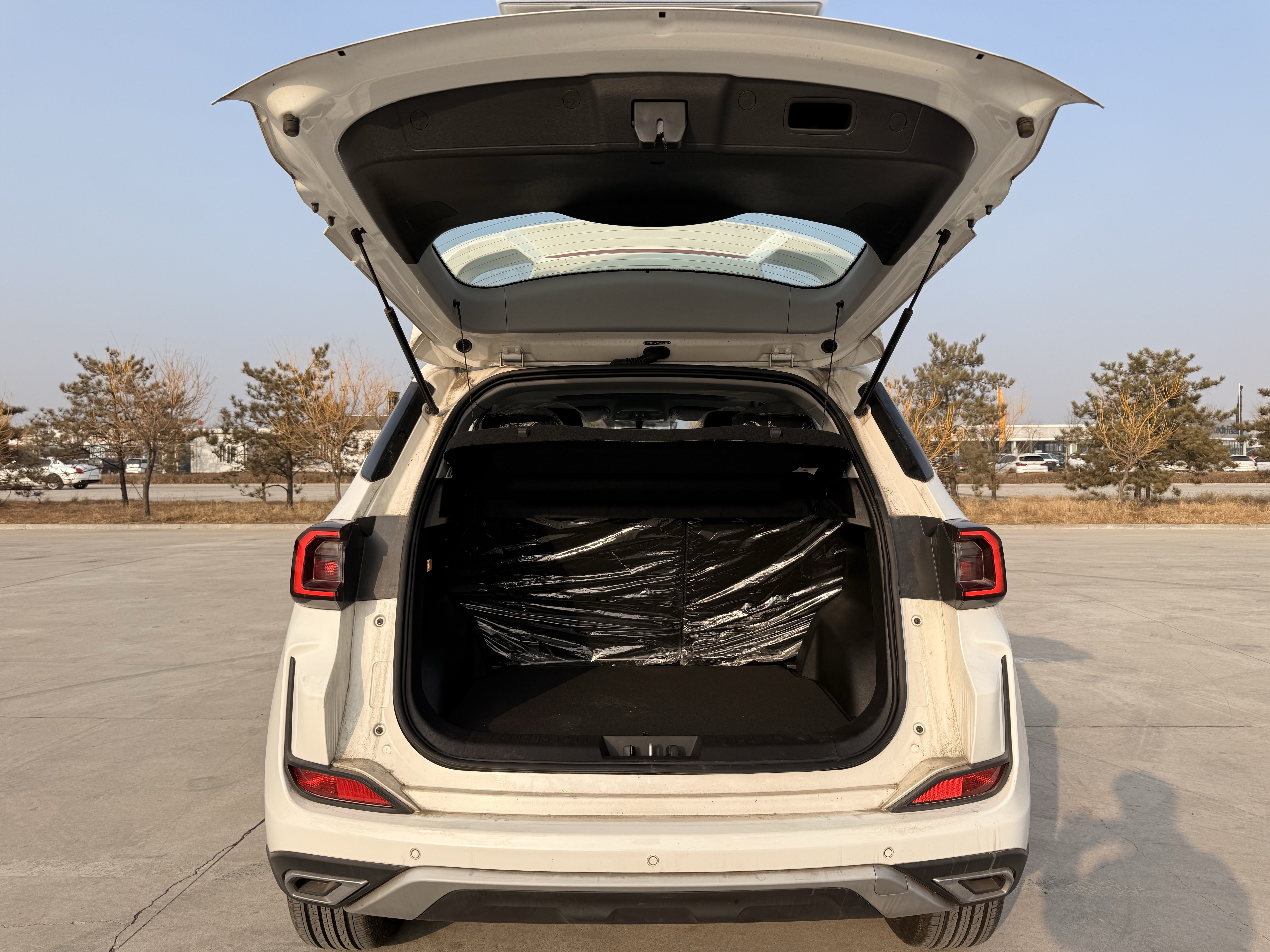 Showjet Pro 2025 immagine di auto #9