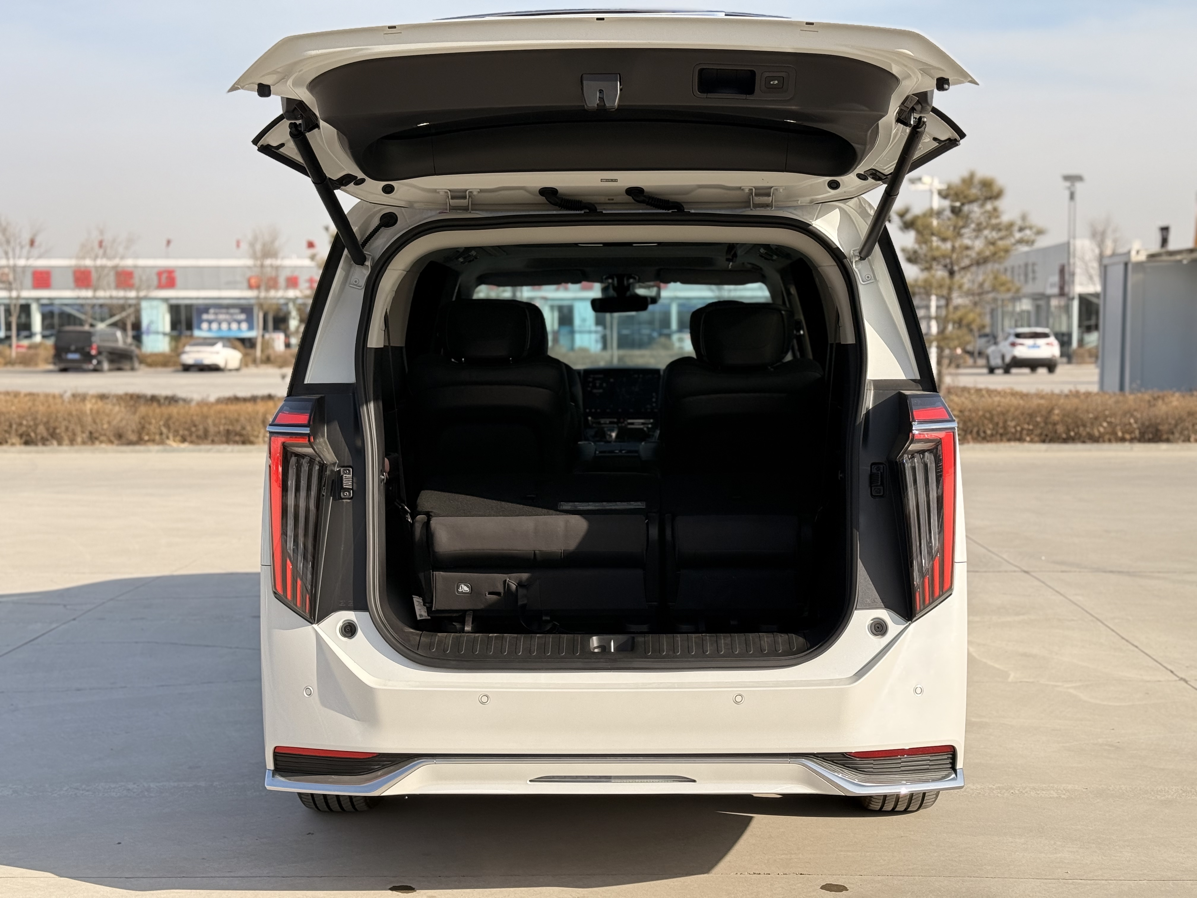 GAC Trumpchi M8 2024 car image #9