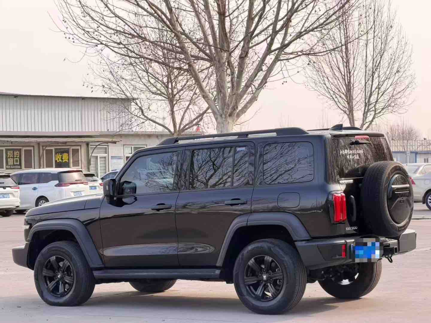 坦克 坦克300 2023 汽车图片 #9