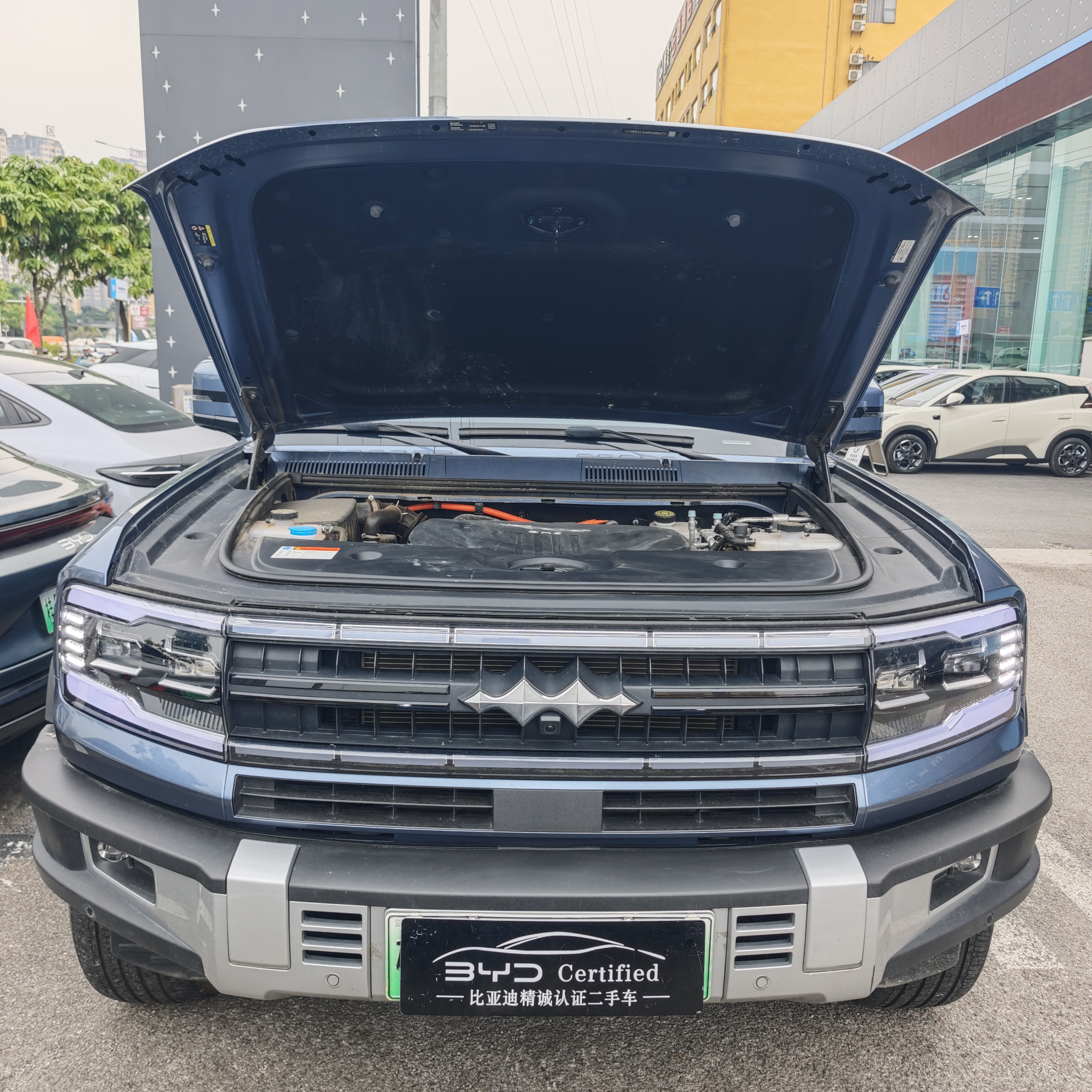 FangChengBao Leopard 5 2024 car image #9