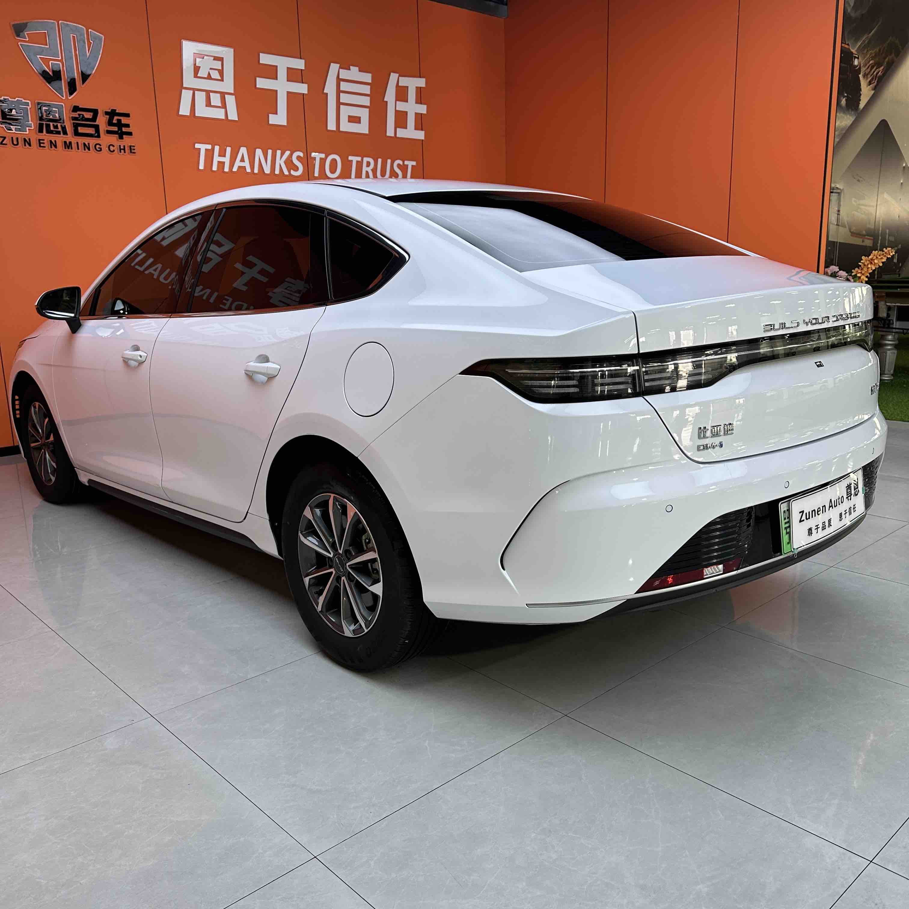 BYD Destroyer 05 2024 imagen de coche #9