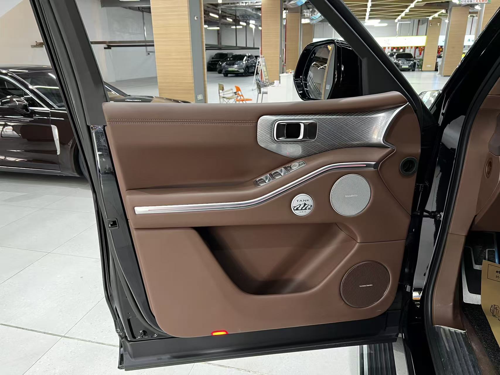 Tank 700 New Energy 2024 car image #9