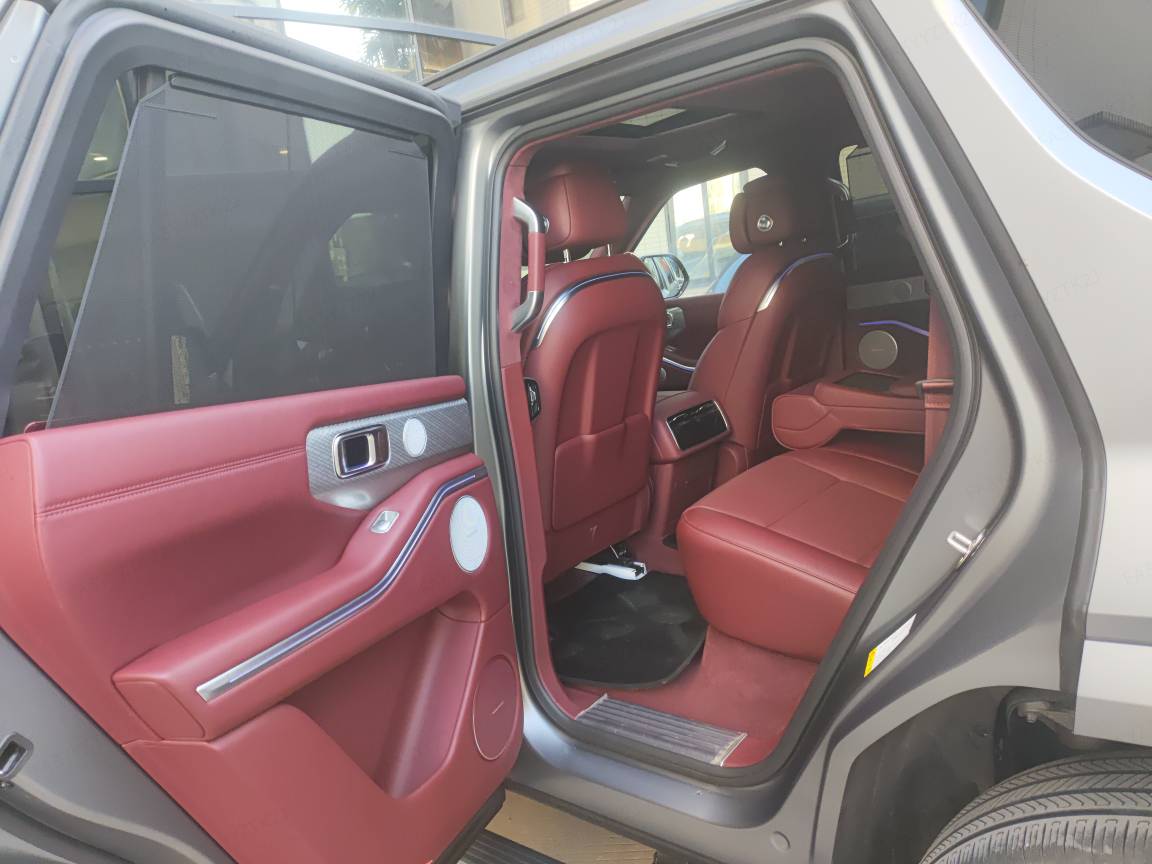 Tank 700 New Energy 2024 immagine di auto #9