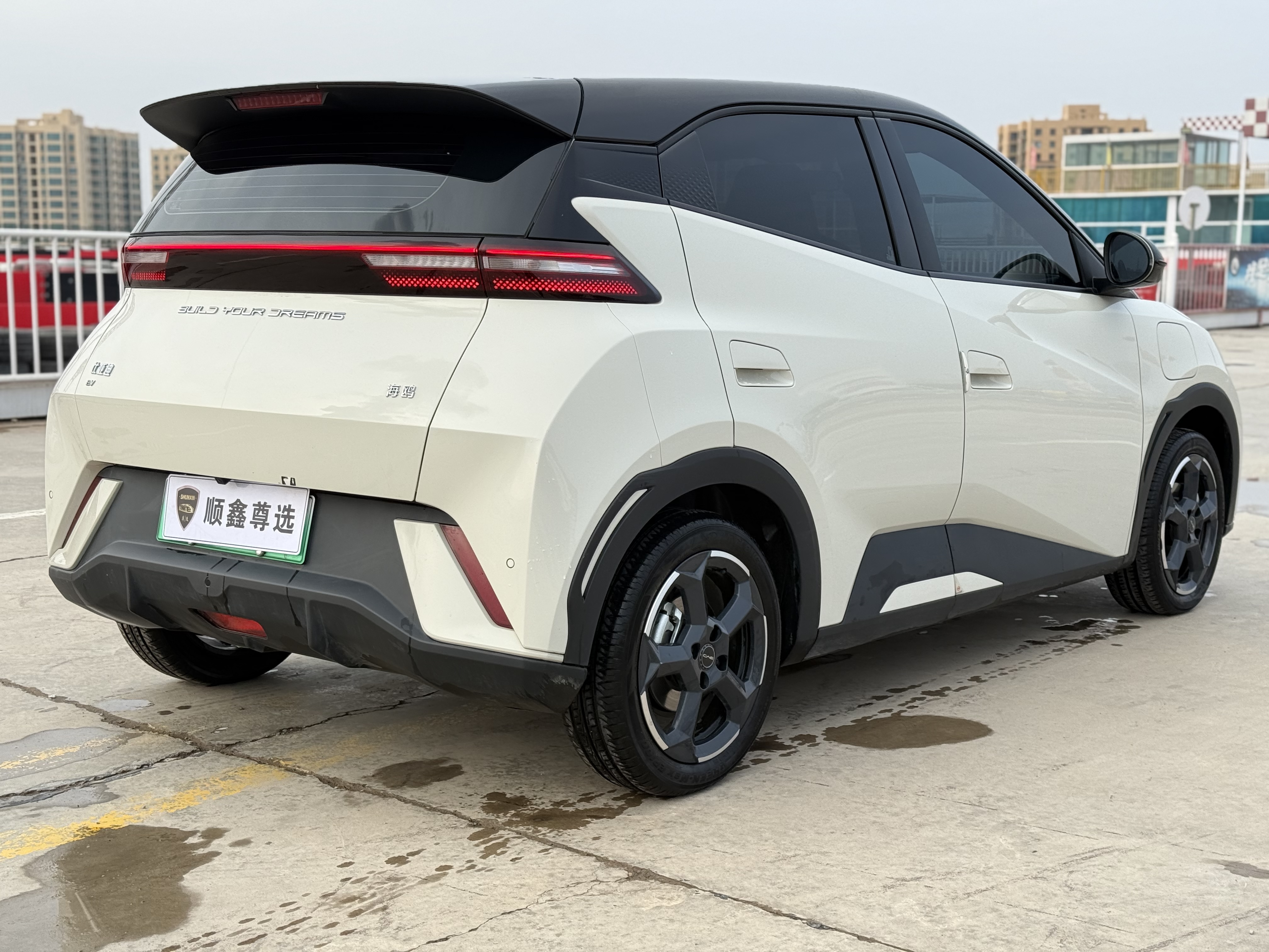 BYD Seagull 2024 immagine di auto #9