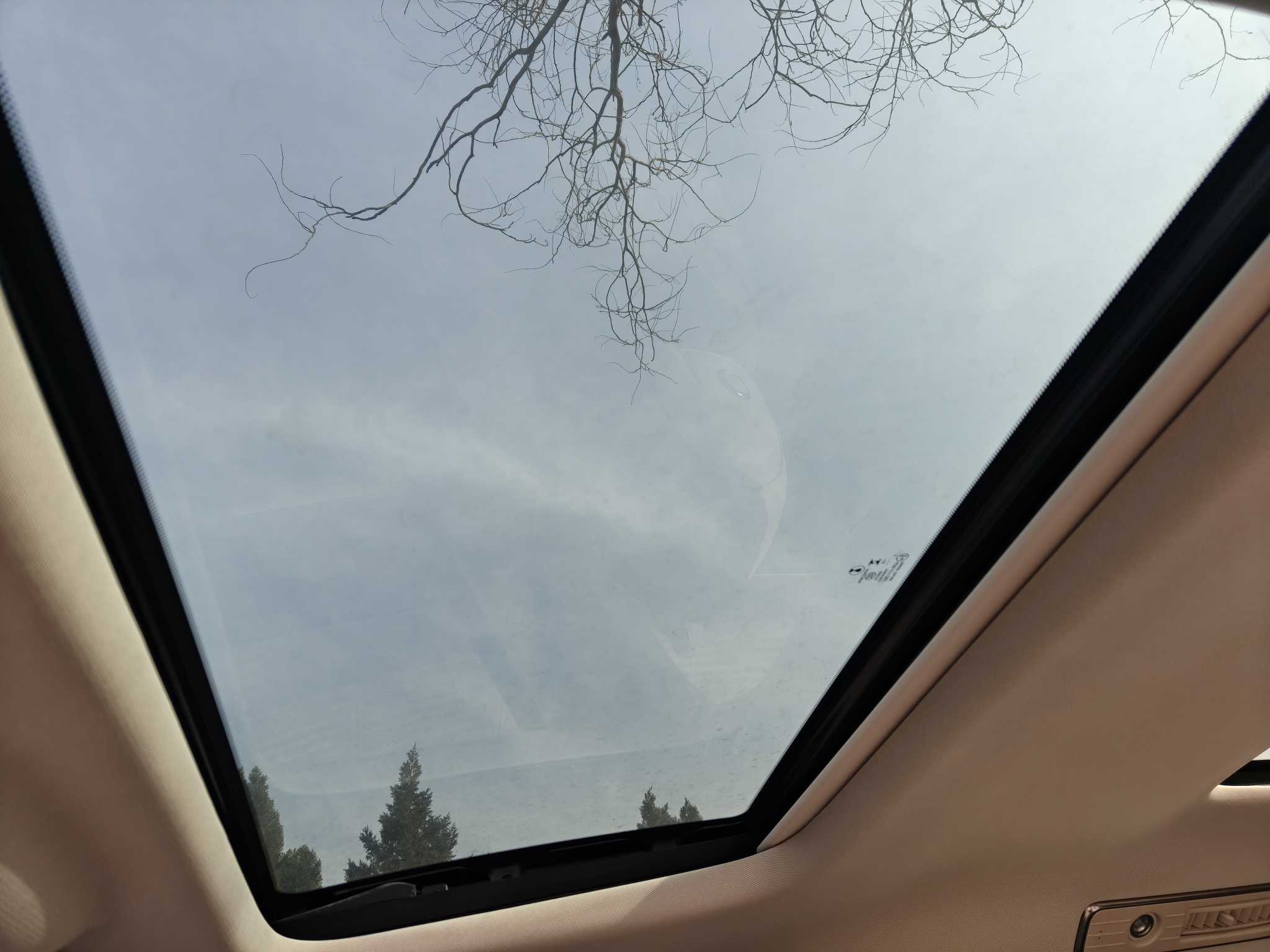 Denza D9 2025 car image #9