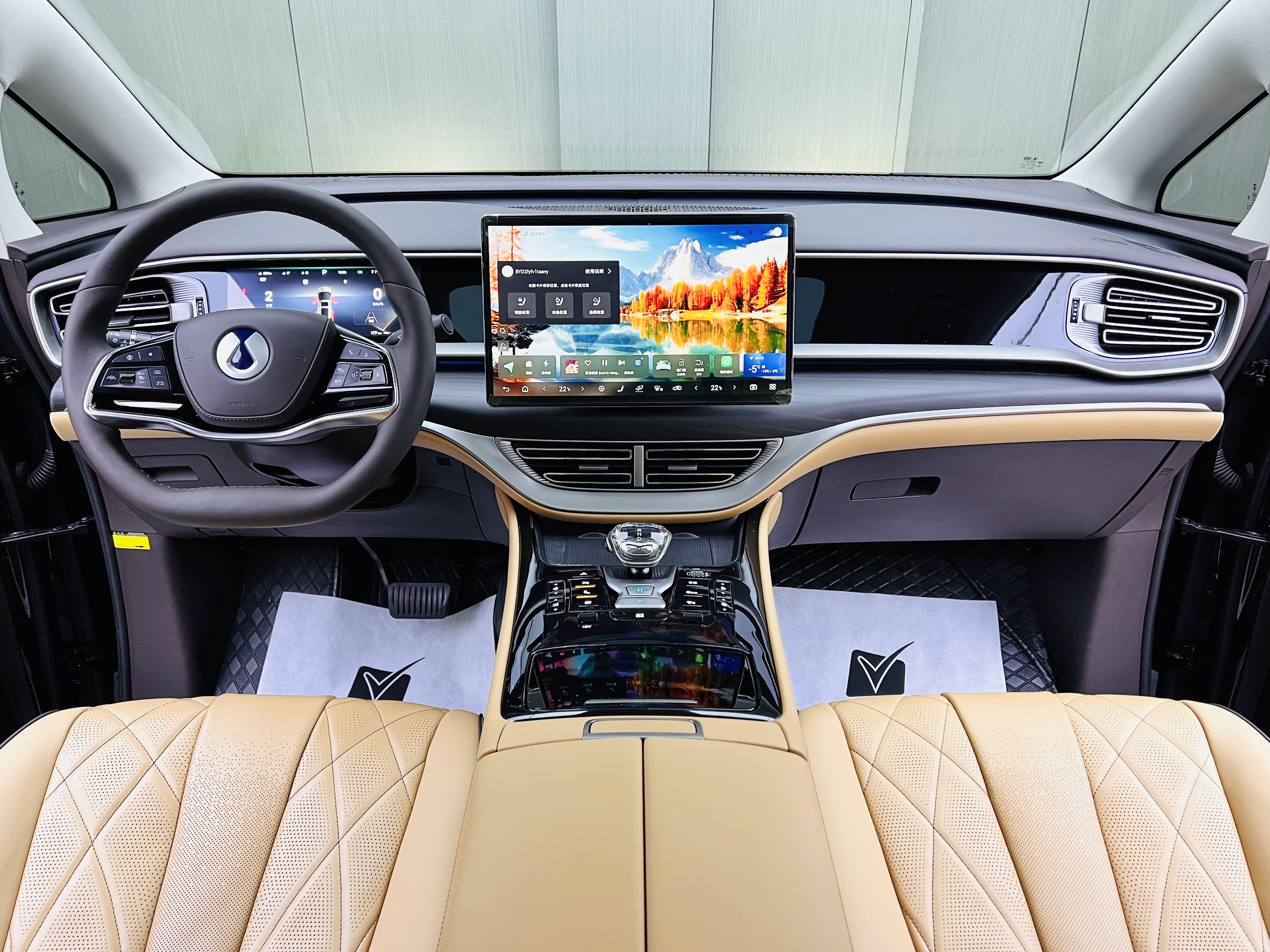 Denza D9 2025 image de voiture #9