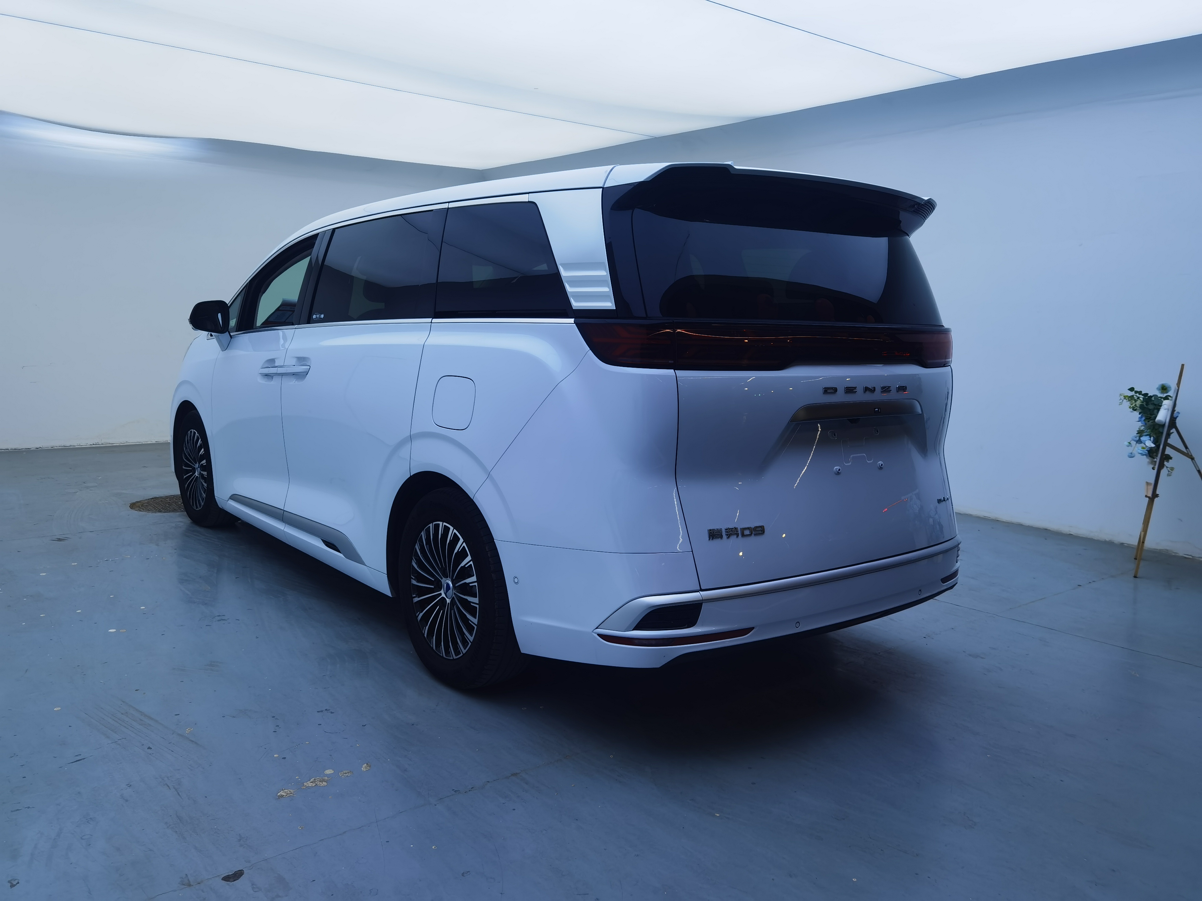 Denza D9 2024 immagine di auto #9