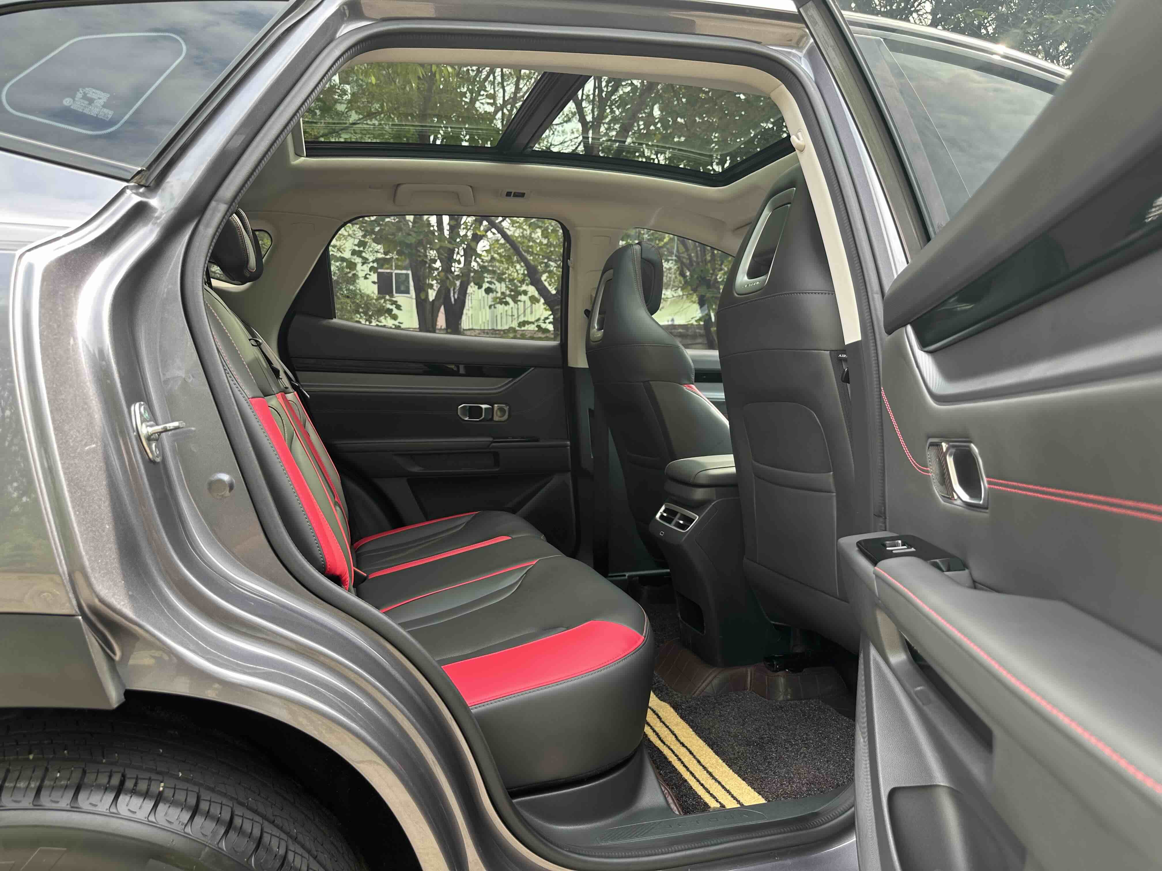 Dashing 2024 car image #9