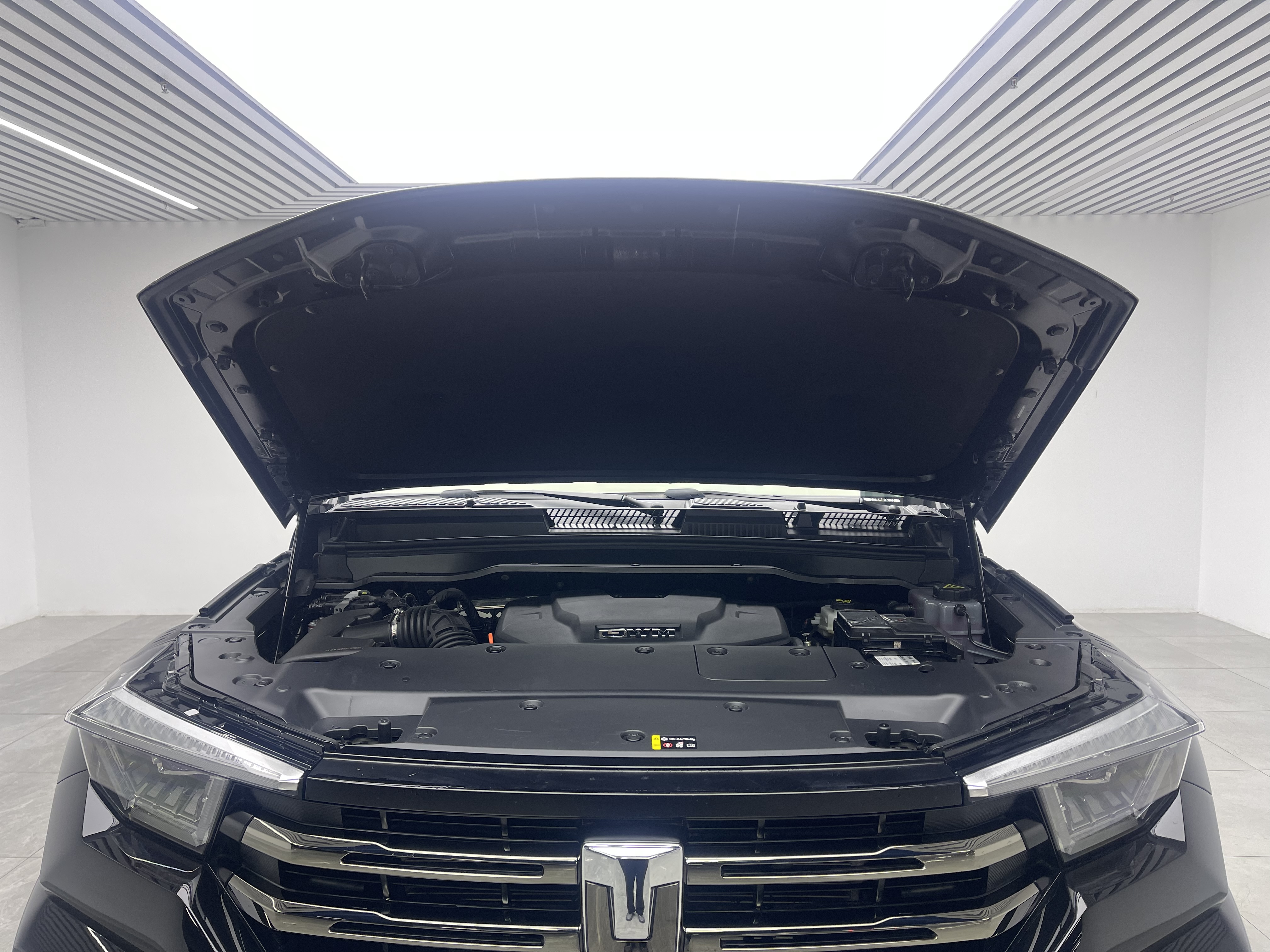 Tank 400 New Energy 2024 #9 Tank 400 New Energy 2024 immagine di auto #9