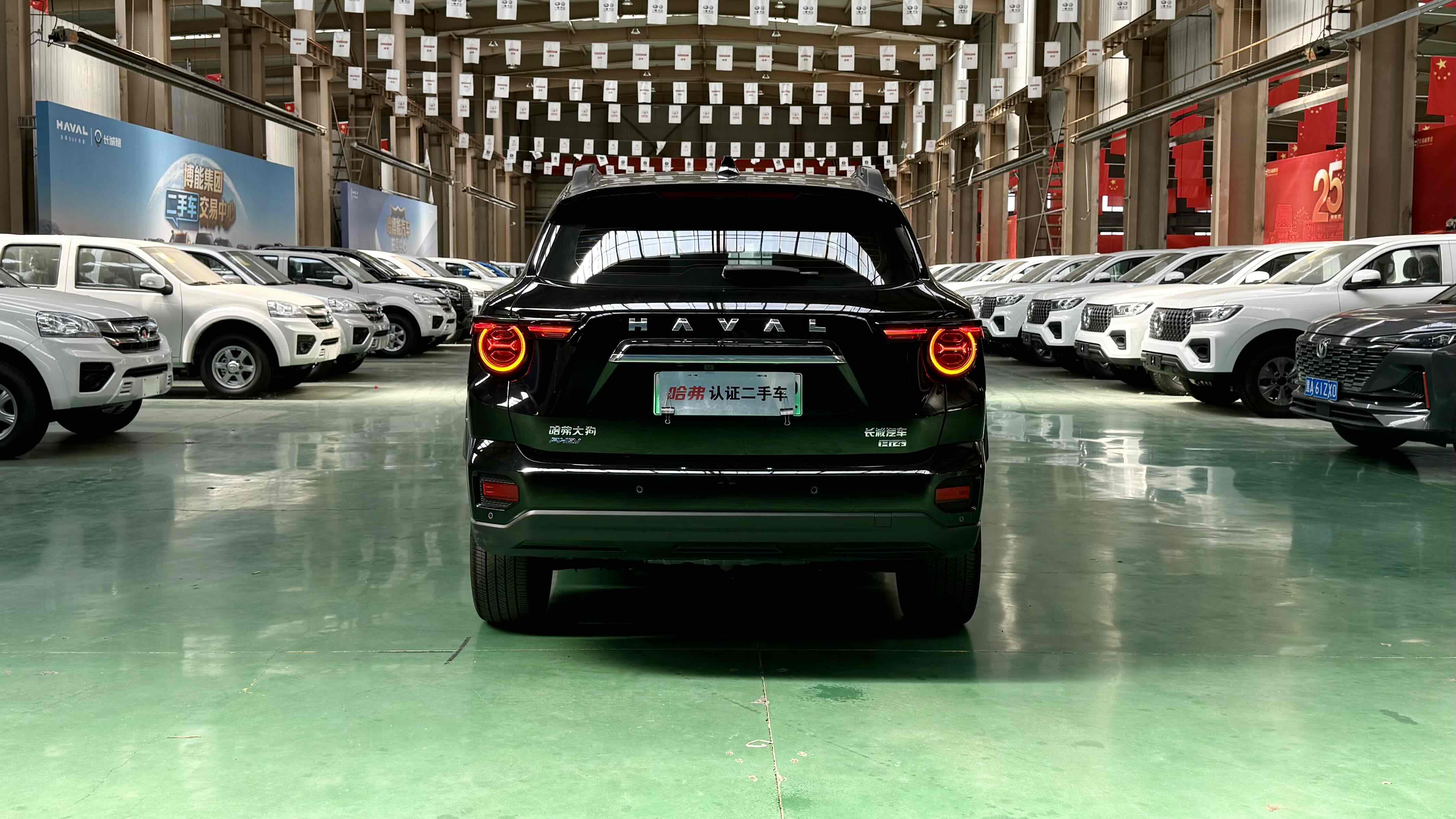 Haval X Dog 2 New Energy 2024 car image #9