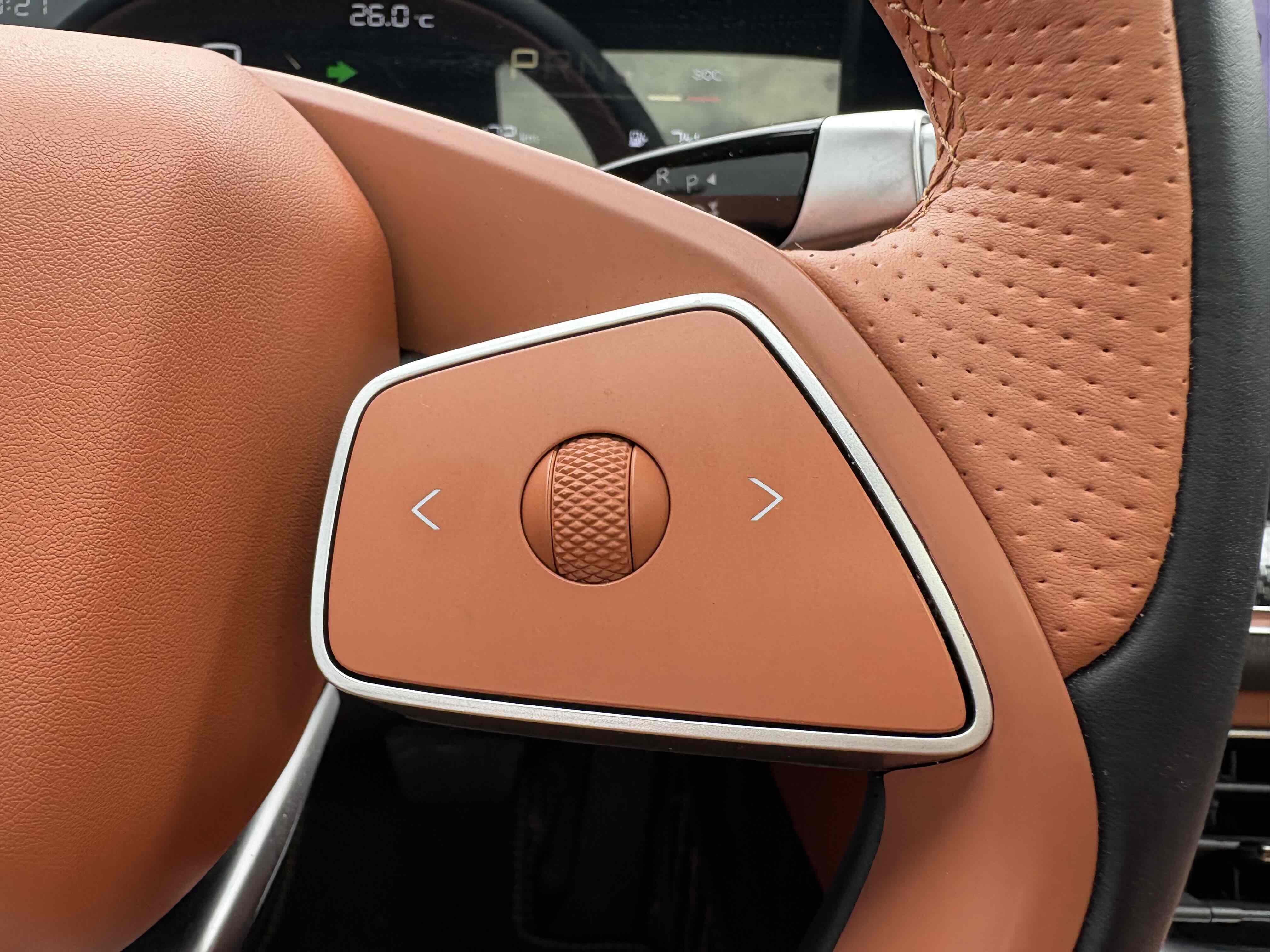 Neta L 2024 imagen de coche #9