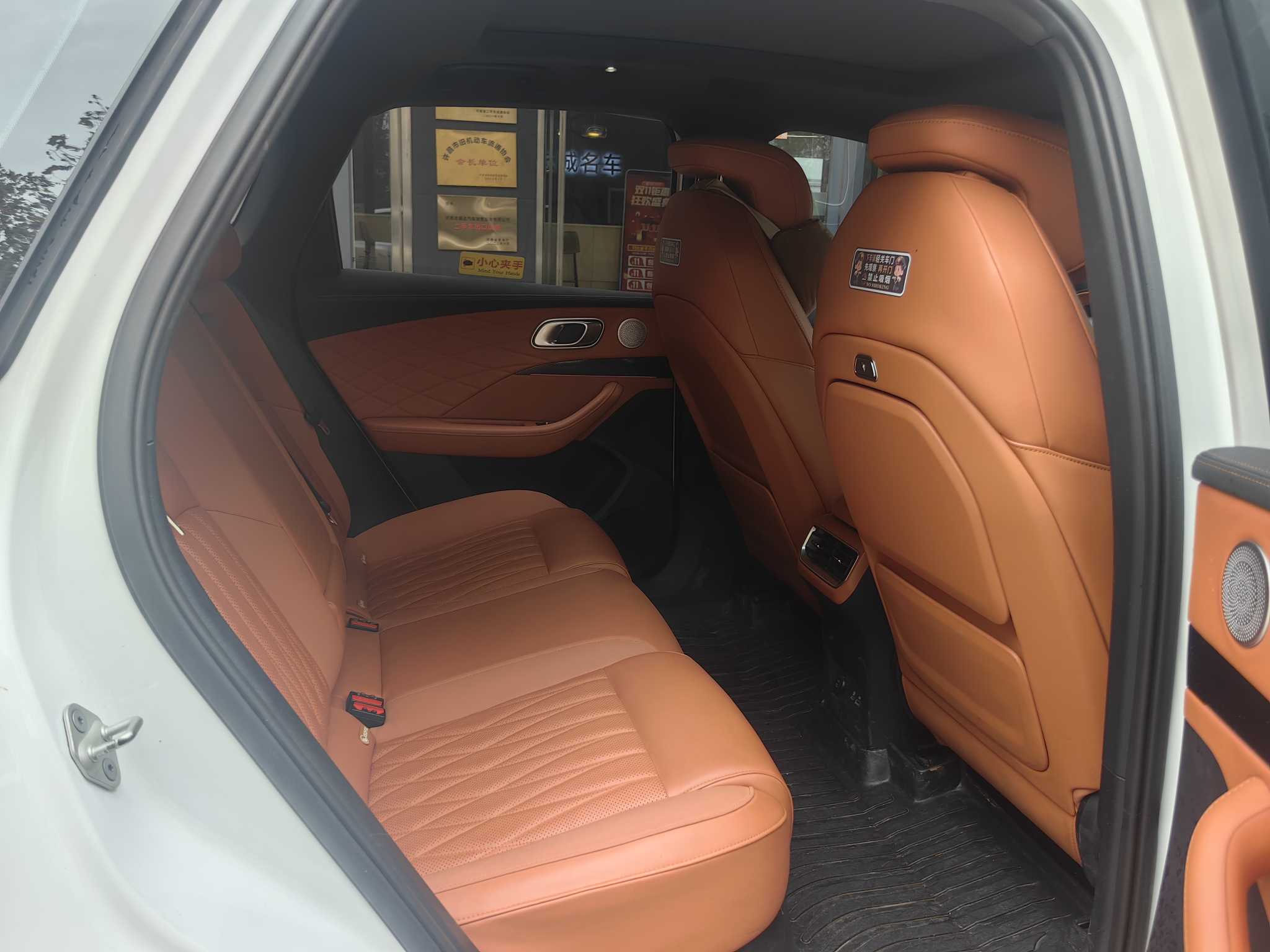 Neta L 2024 imagen de coche #9