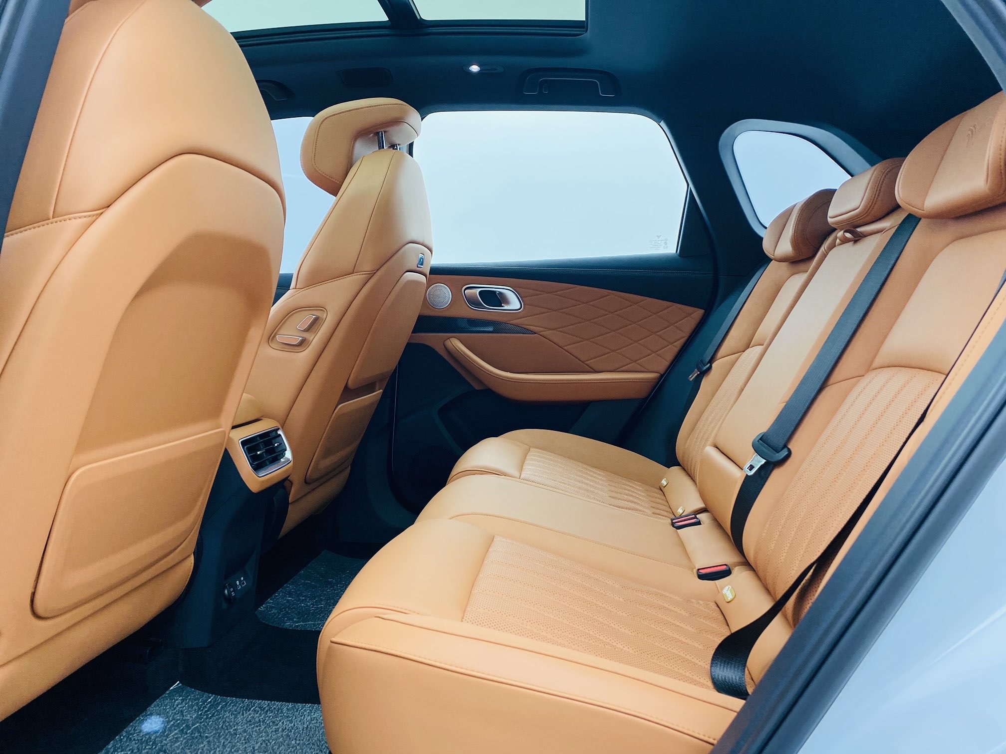 Neta L 2024 imagen de coche #9