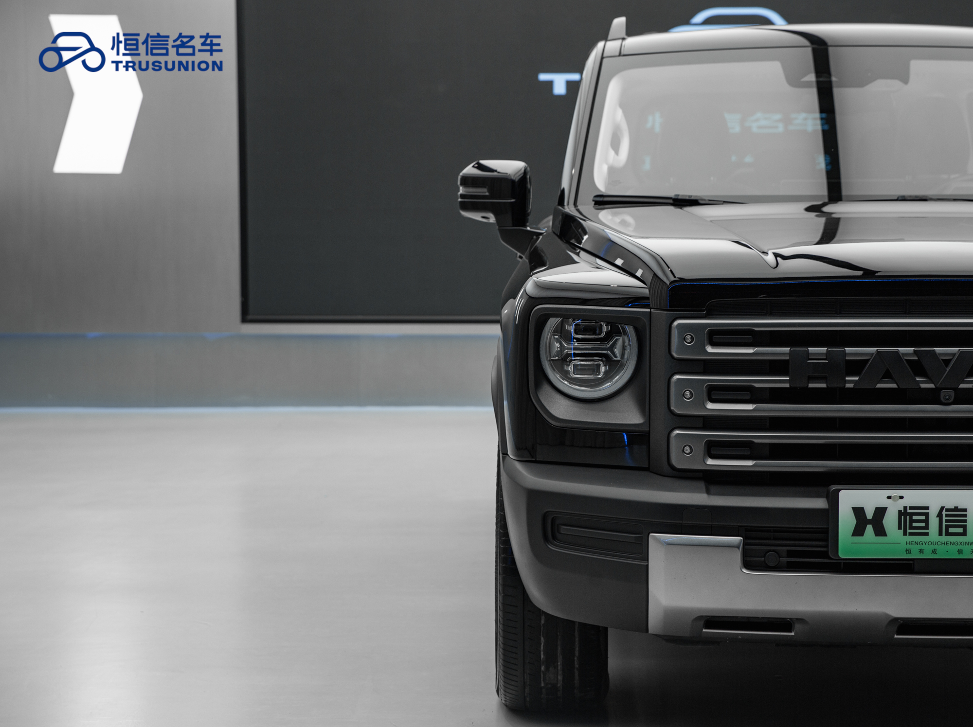 Haval Raptor 2024 immagine di auto #9