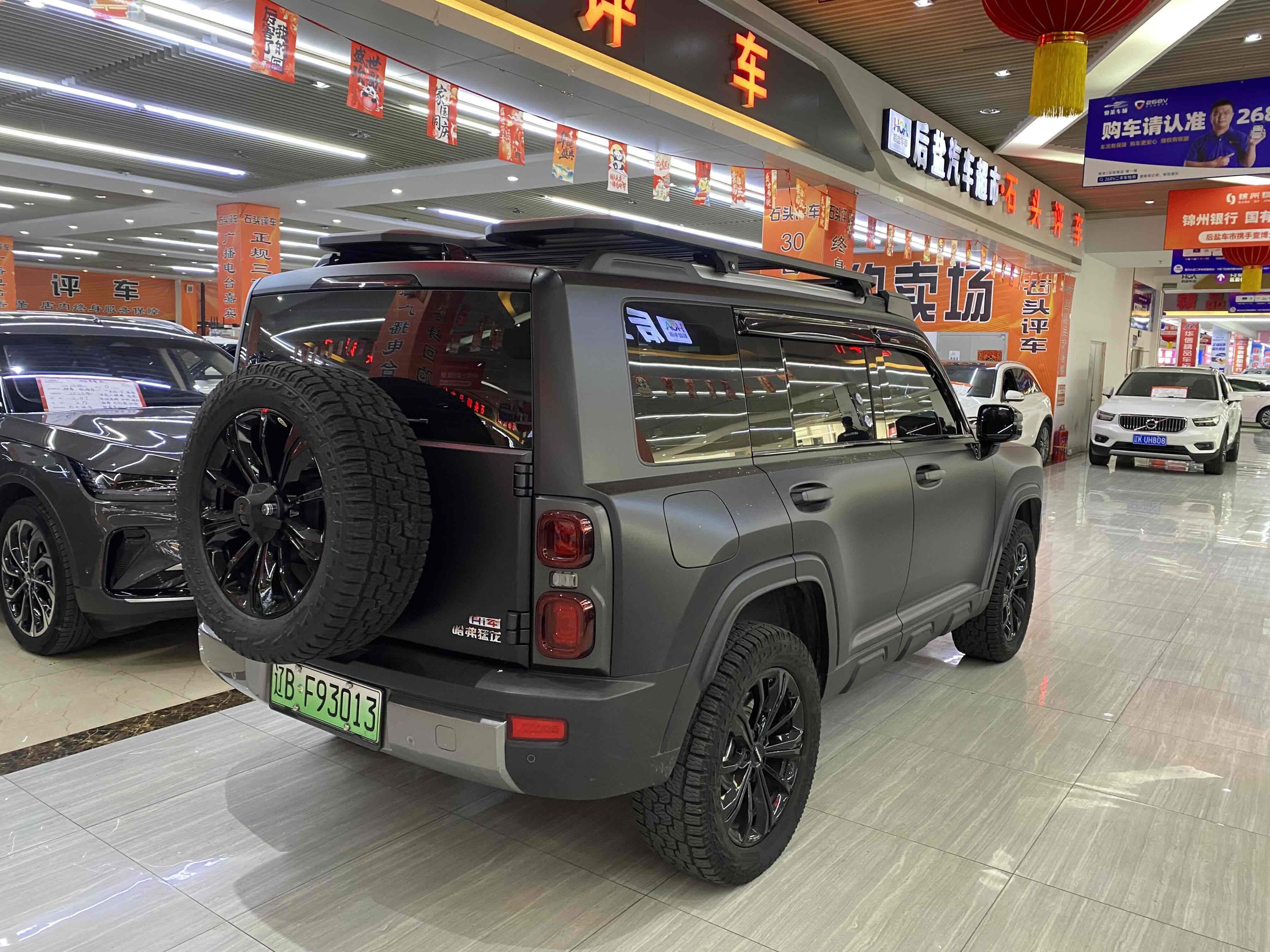 Haval Raptor 2024 car image #9