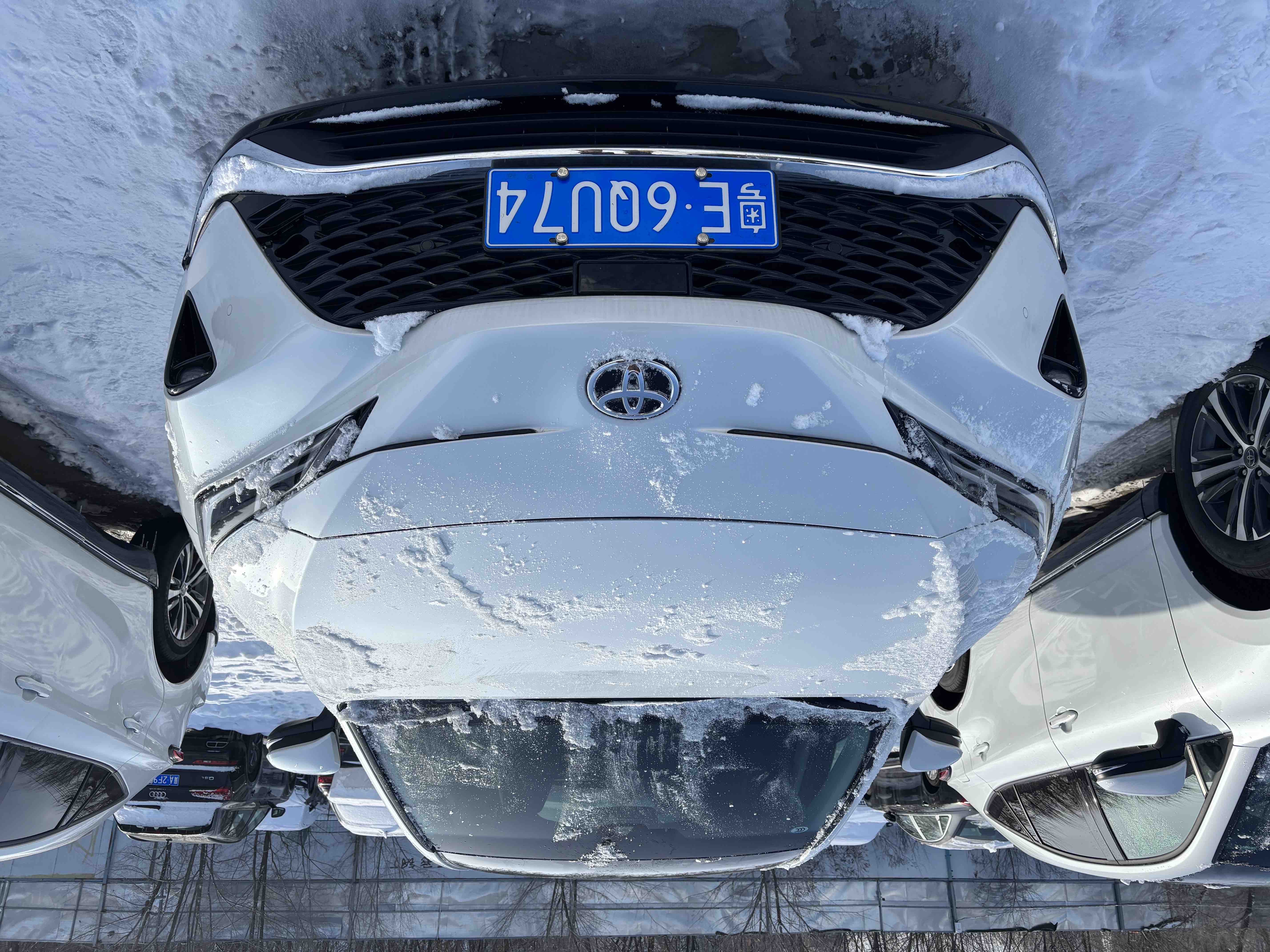 Toyota Venza 2025 immagine di auto #9