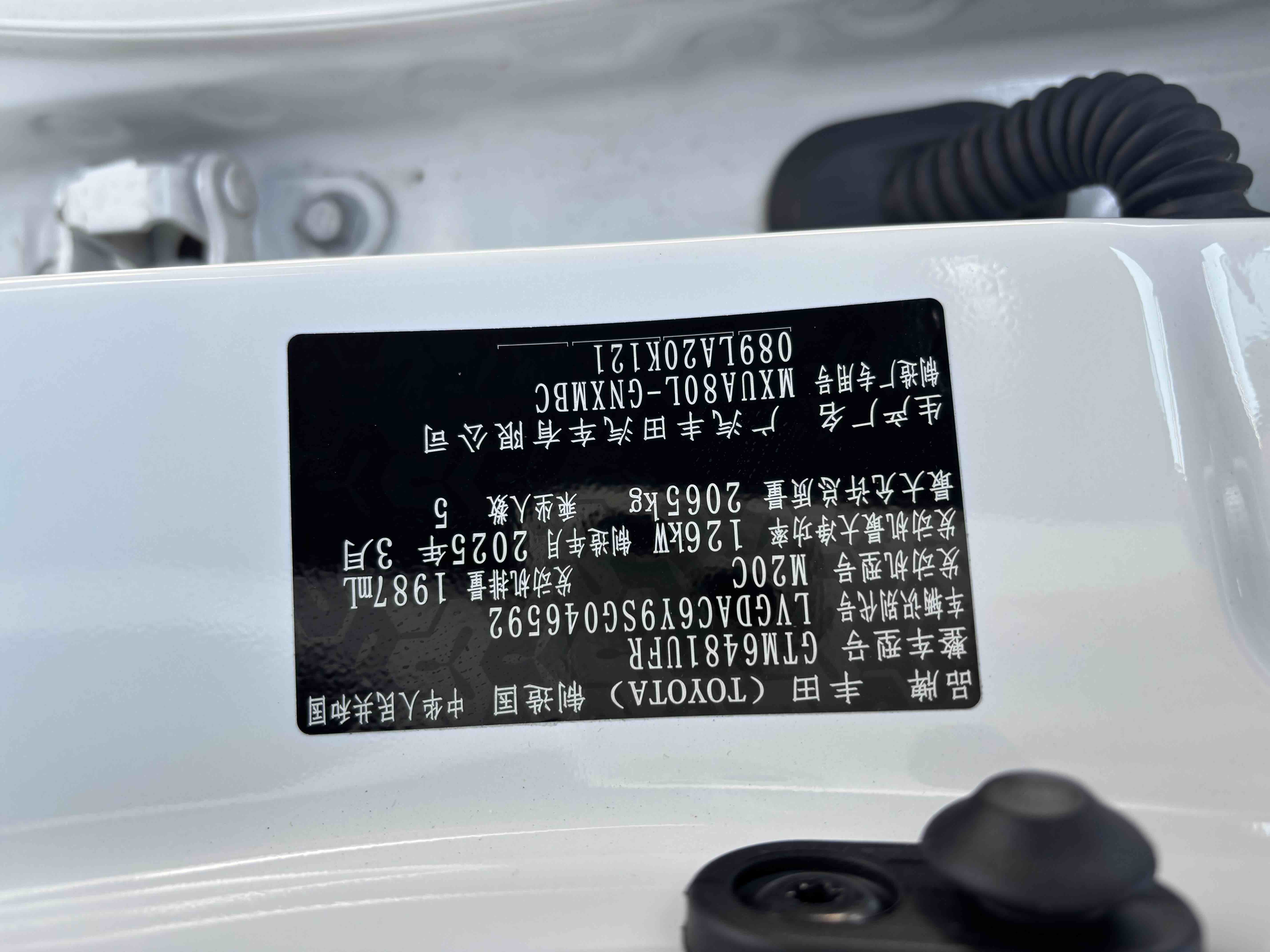 Toyota Venza 2025 صورة سيارة #9