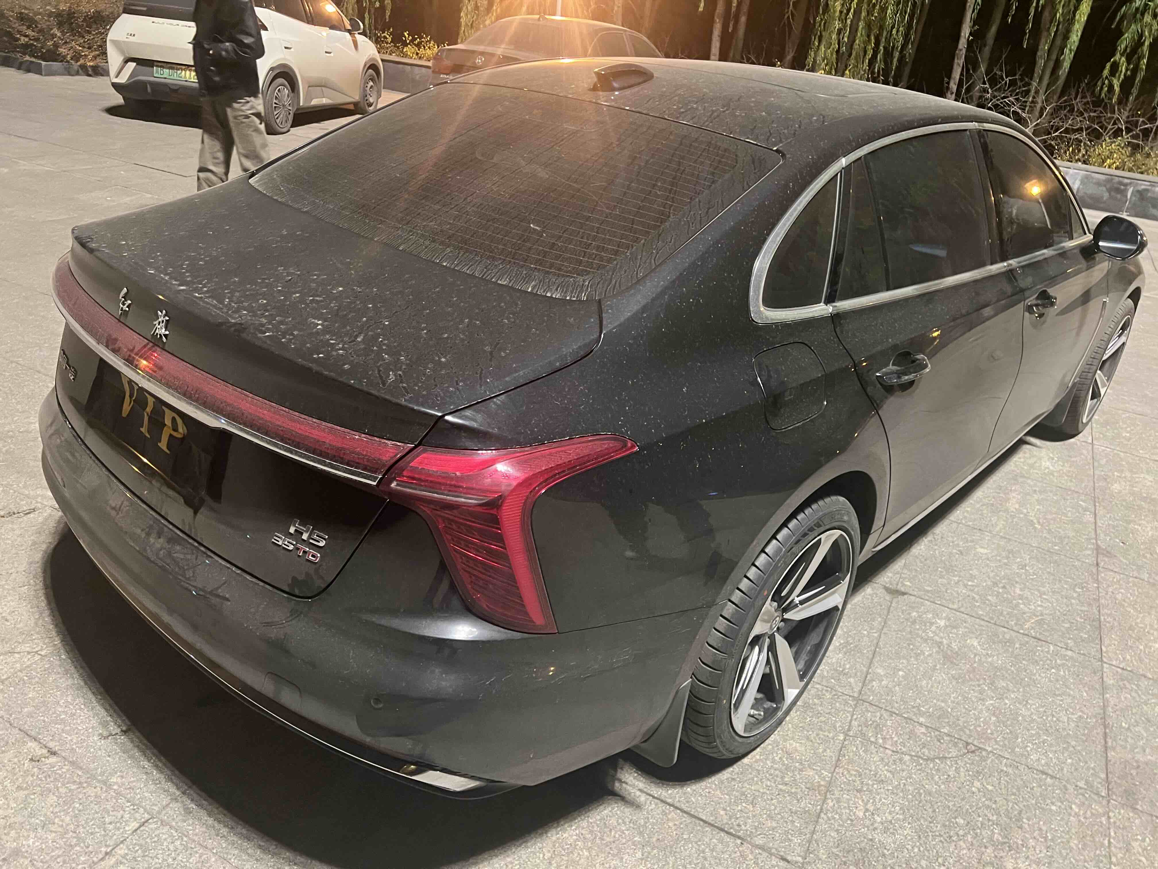 HongQi S9 2024 immagine di auto #9