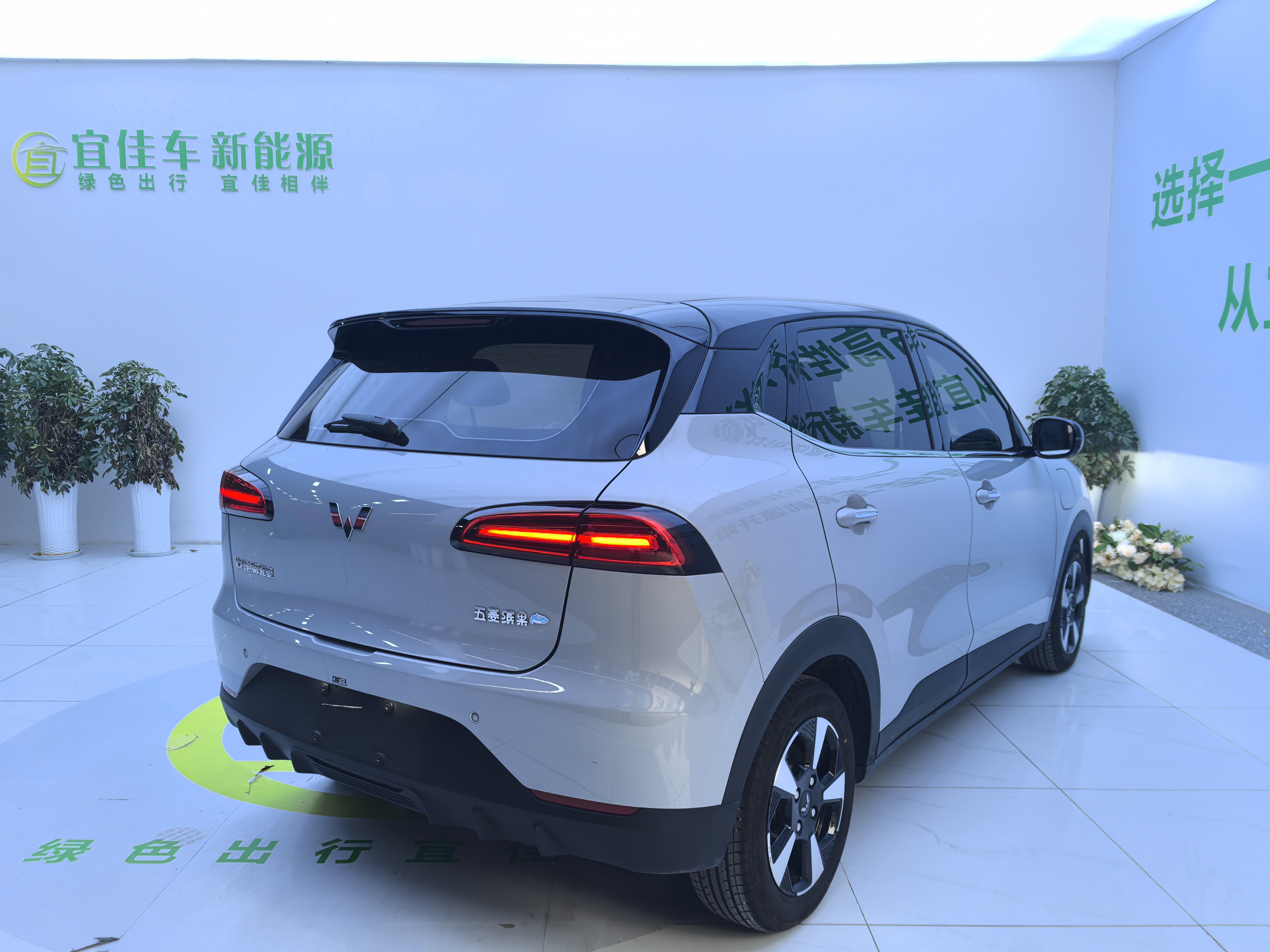 五菱汽车 五菱缤果PLUS 2024 汽车图片 #9