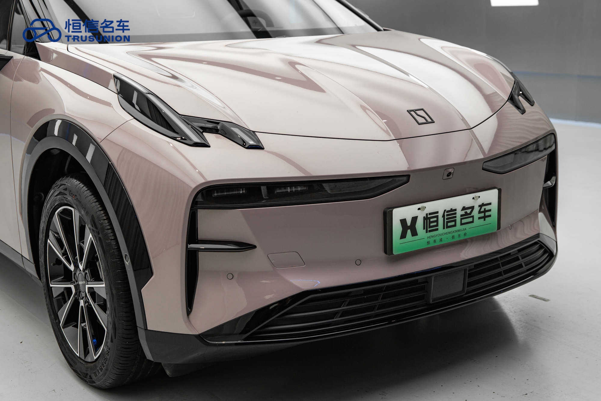 极氪 极氪X 2024 汽车图片 #9