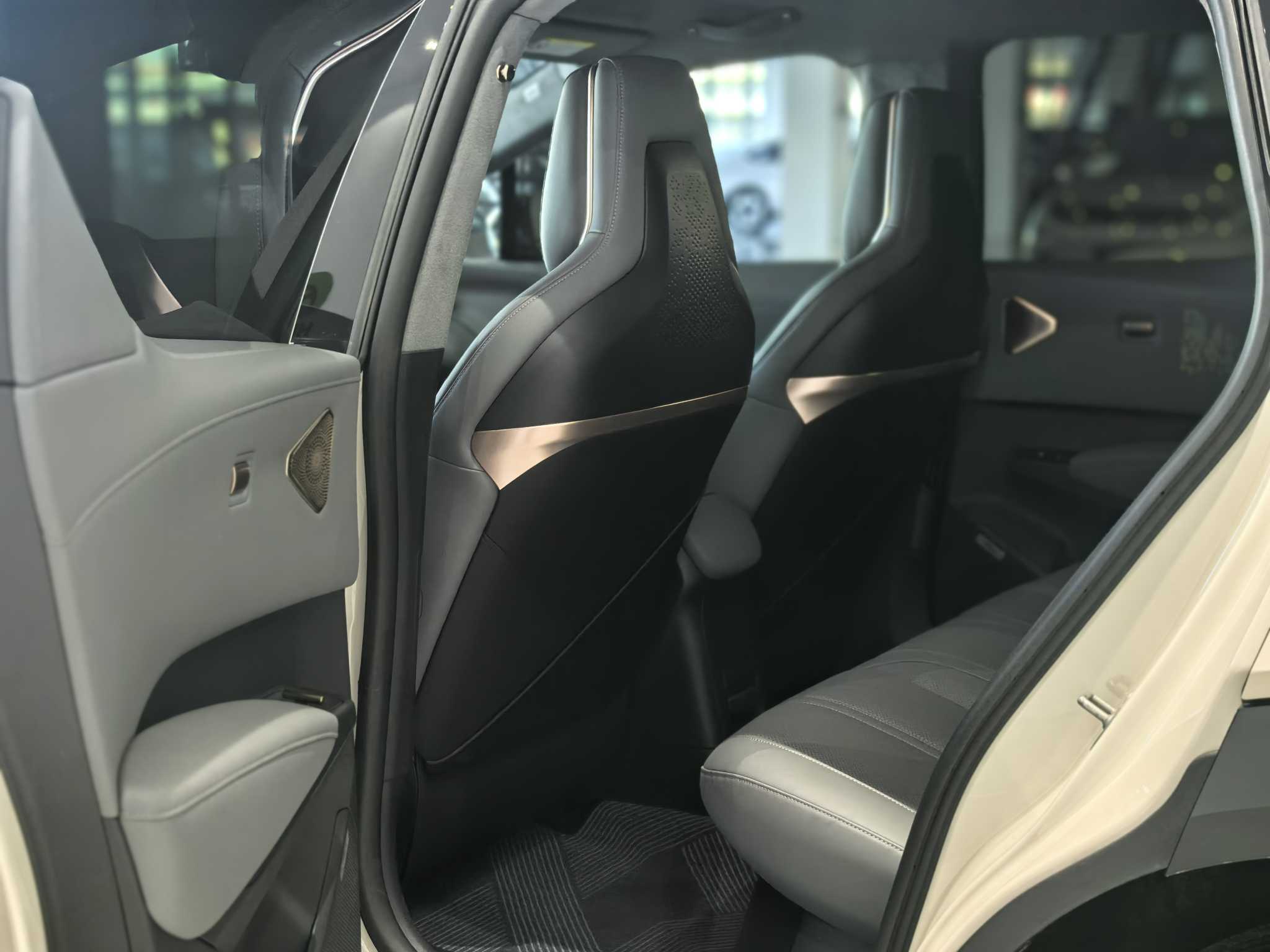 极氪 极氪X 2024 汽车图片 #9