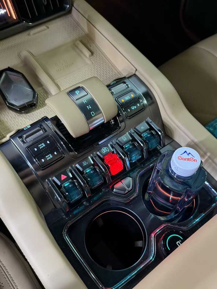 FangChengBao Leopard 8 2024 immagine di auto #9