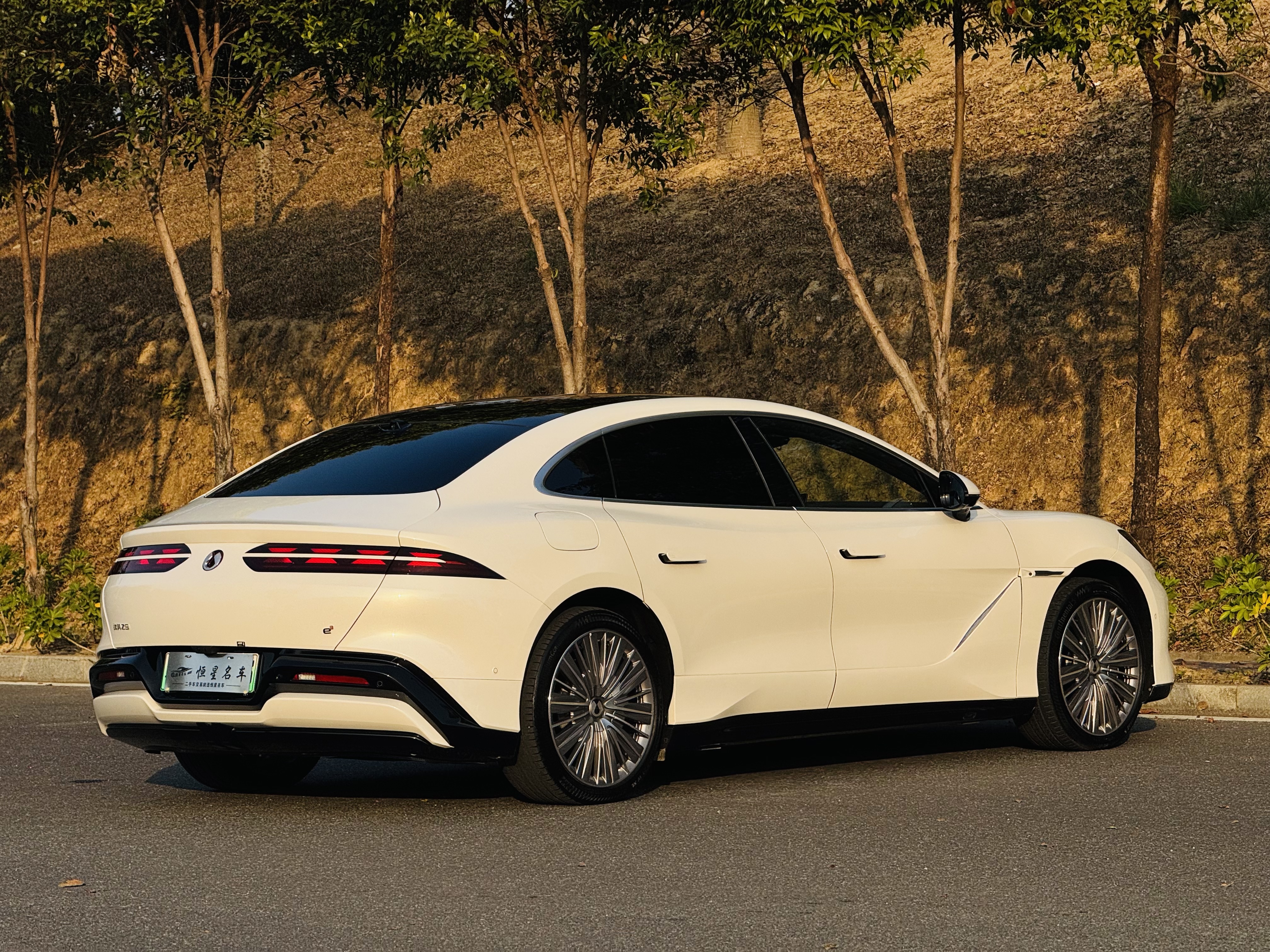 Denza Z9 2025 car image #9