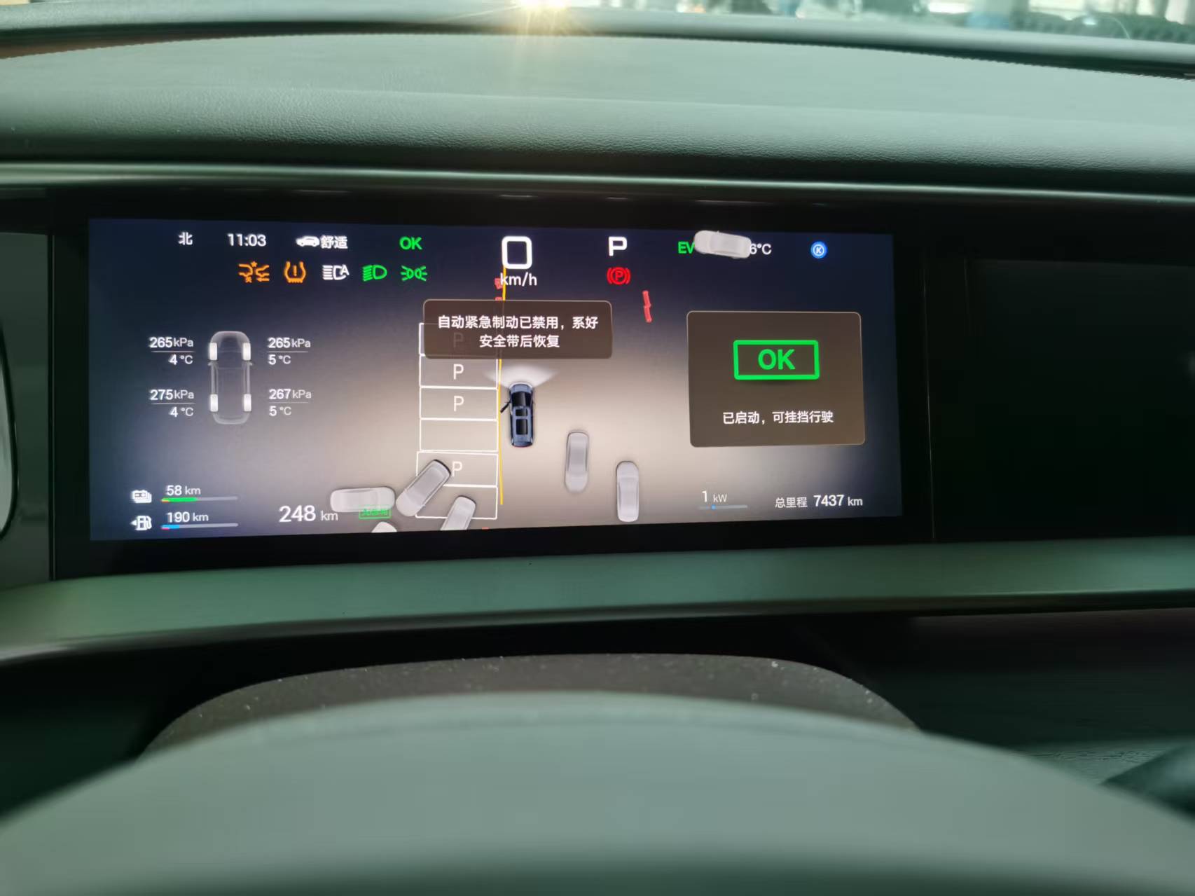 Denza D9 2025 immagine di auto #9