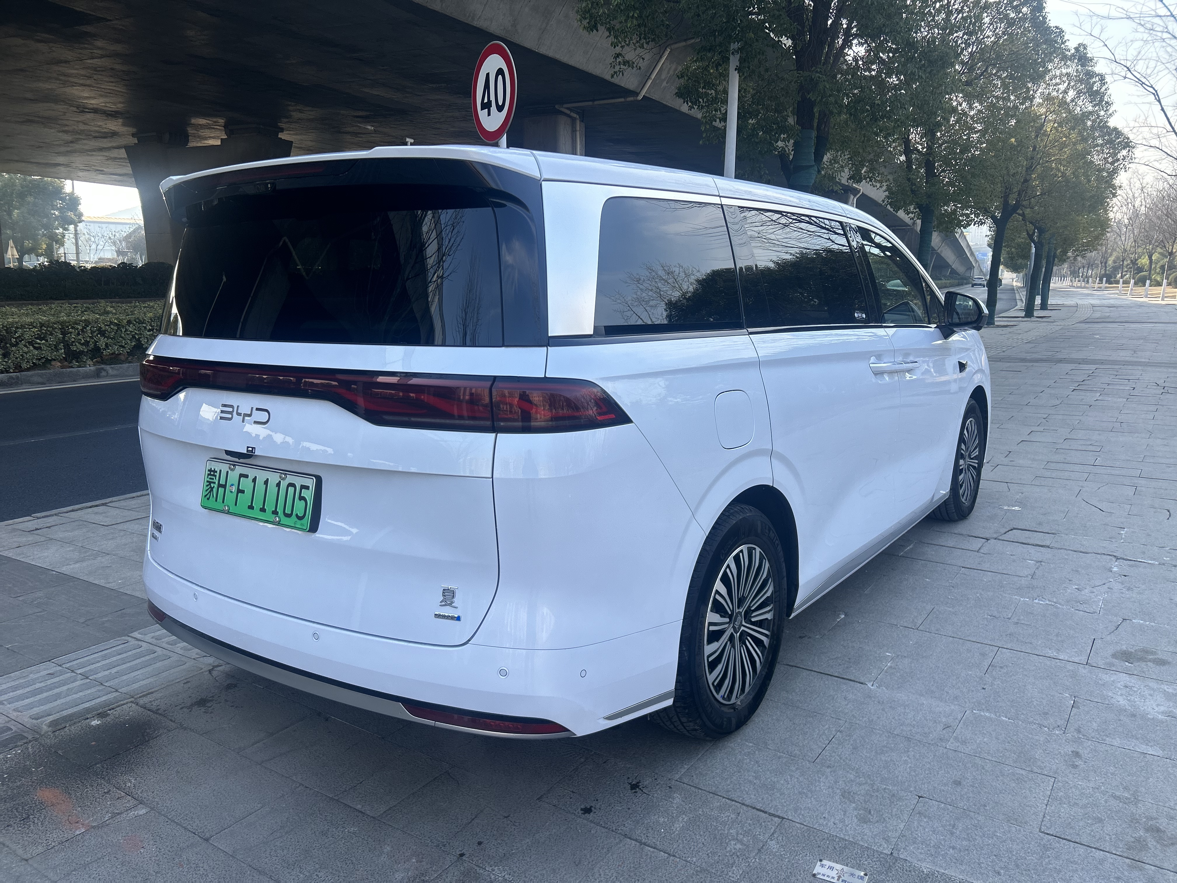BYD Xia 2025 imagen de coche #9