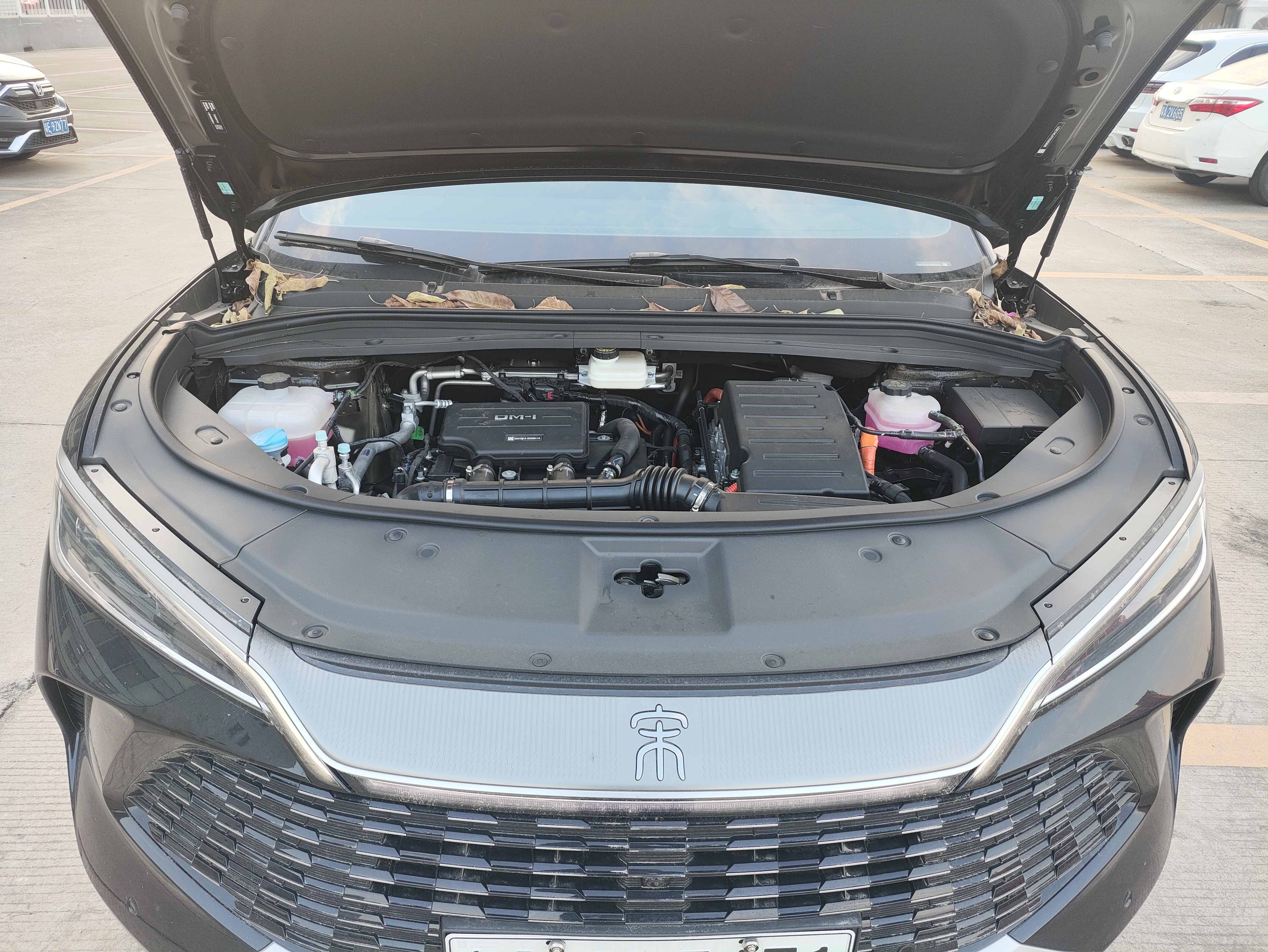 BYD SongL DM-i 2025 #9 BYD SongL DM-i 2025 immagine di auto #9