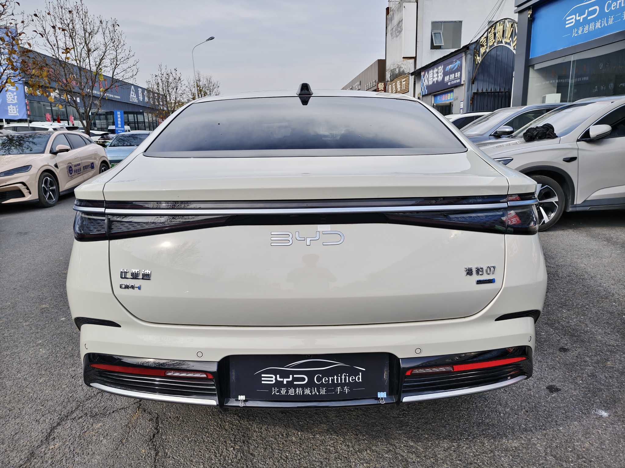 BYD Seal 07 DM-i 2025 car image #9