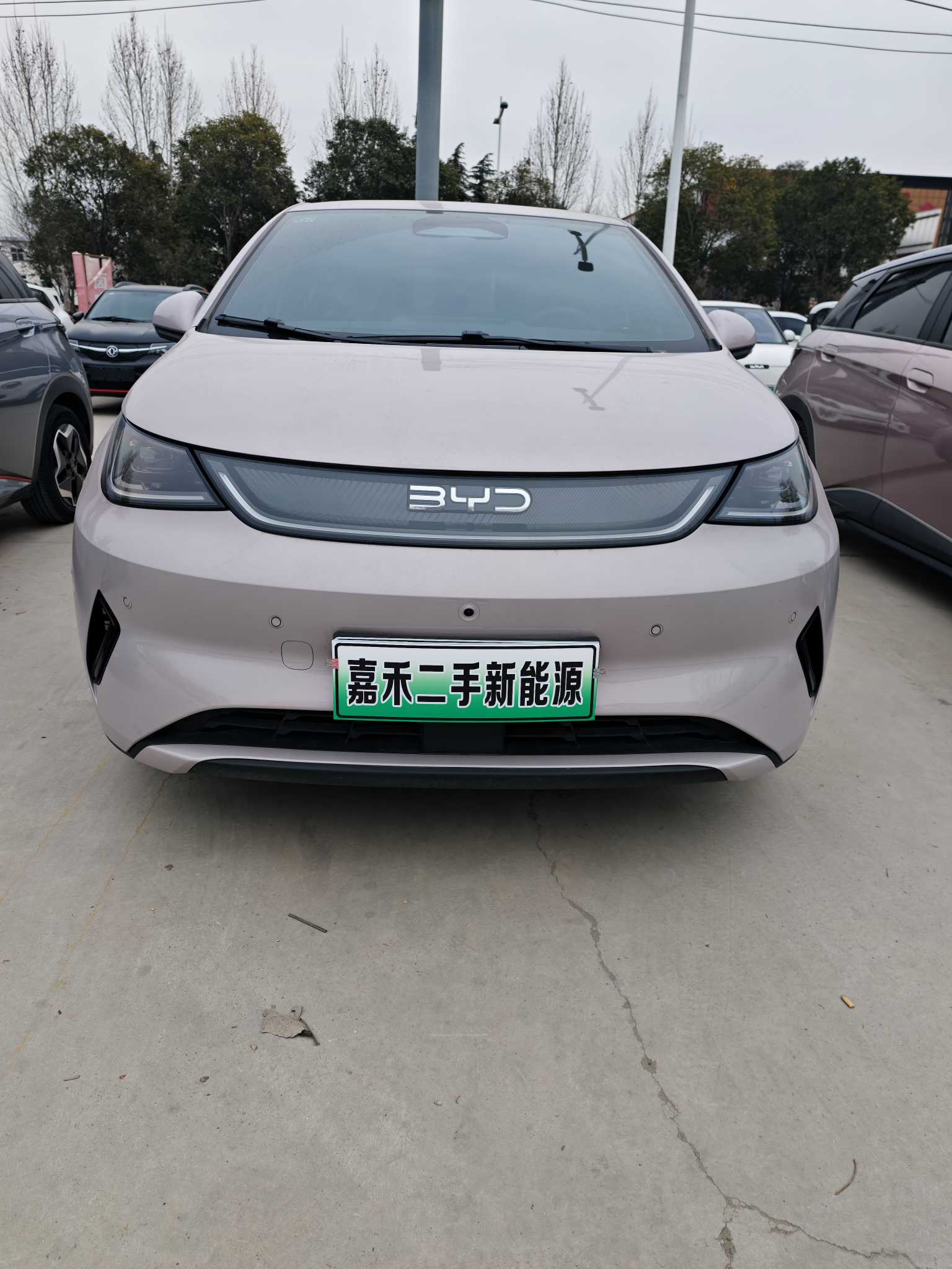 BYD Dolphin 2025 car image #9